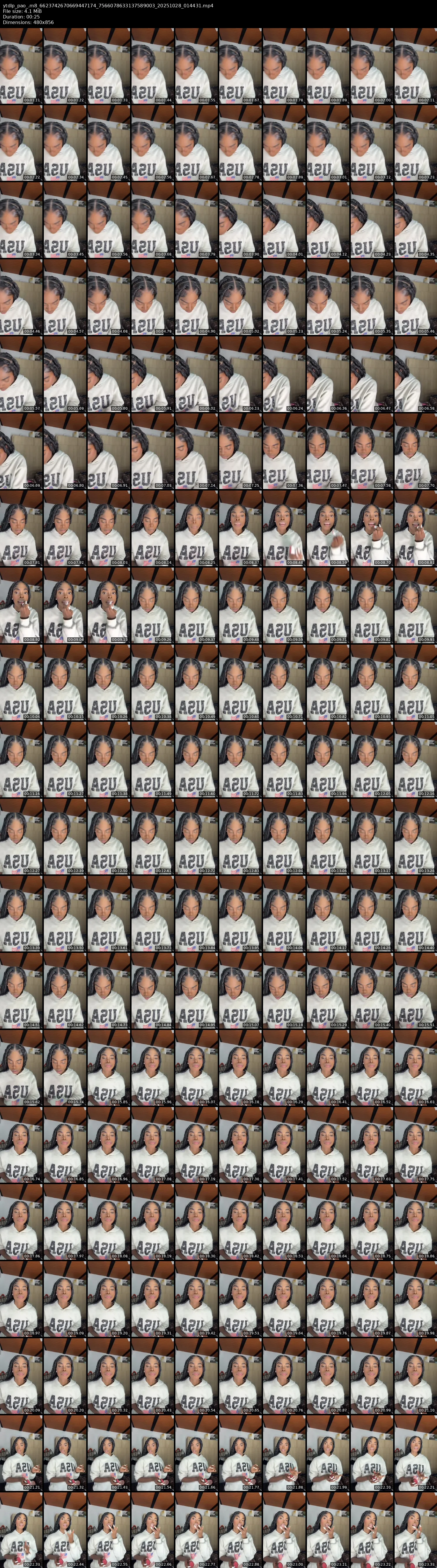 grid_ytdlp_pao_.m8_6623742670669447174_7566078633137589003_20251028_014431.mp4.webp