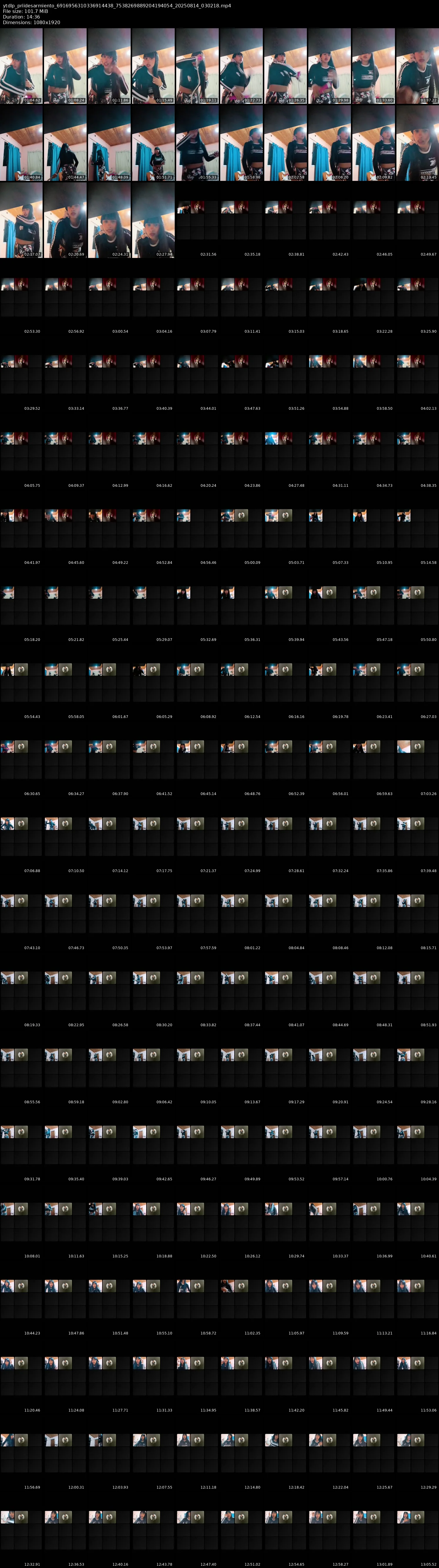grid_ytdlp_priidesarmiento_6916956310336914438_7538269889204194054_20250814_030218.mp4.webp