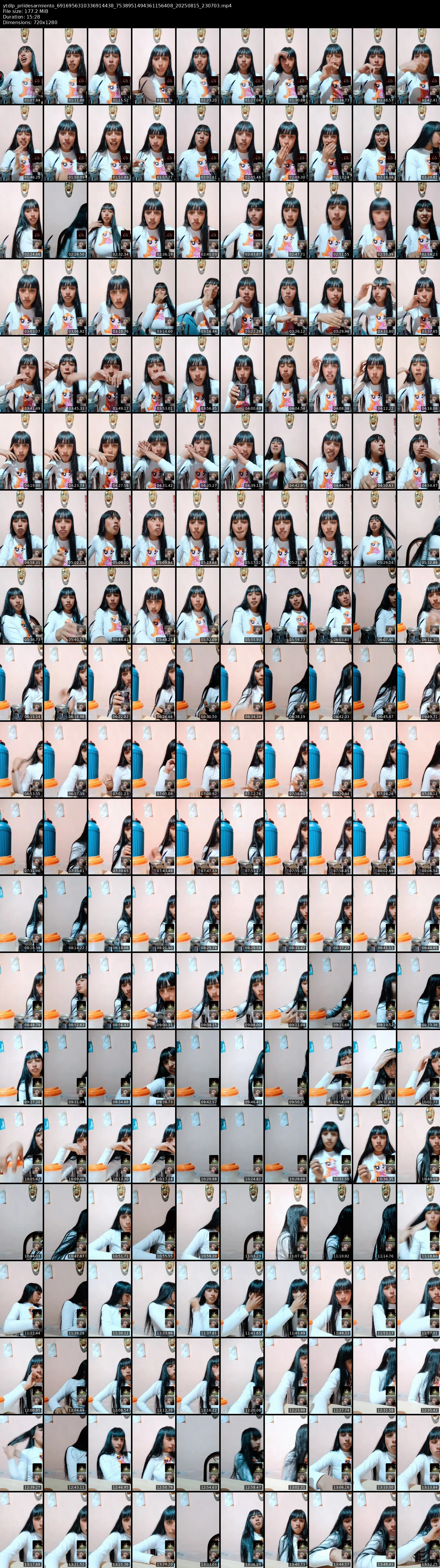 grid_ytdlp_priidesarmiento_6916956310336914438_7538951494361156408_20250815_230703.mp4.webp