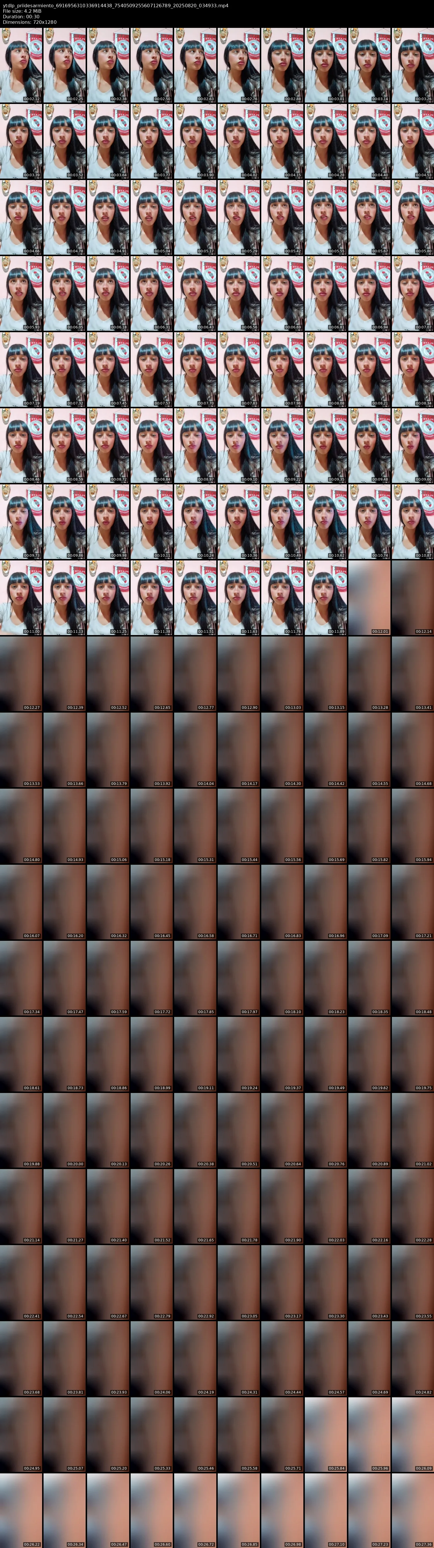 grid_ytdlp_priidesarmiento_6916956310336914438_7540509255607126789_20250820_034933.mp4.webp