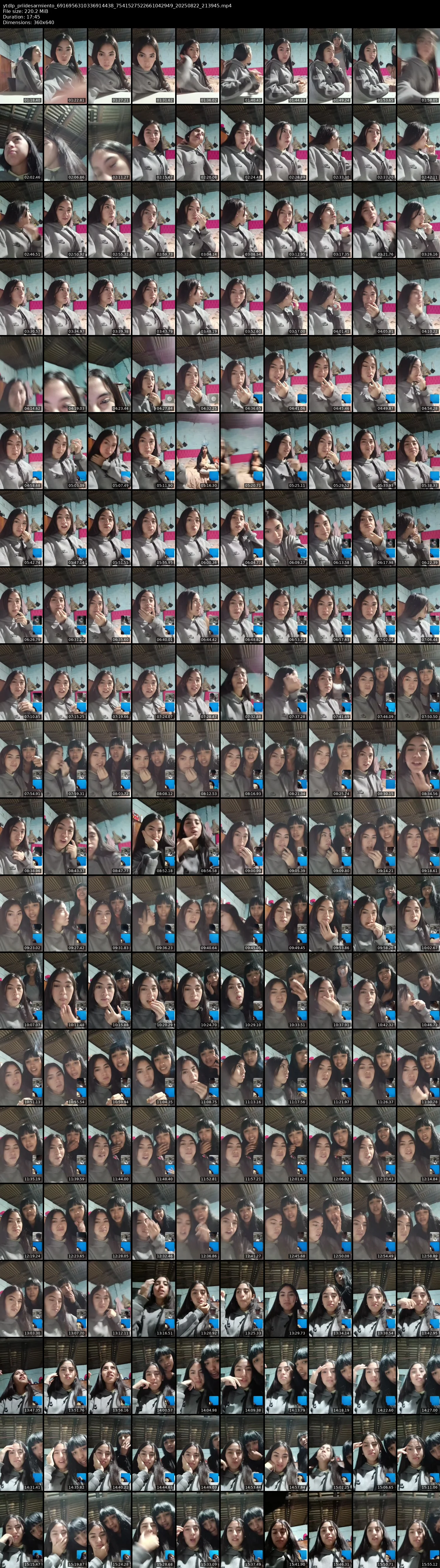 grid_ytdlp_priidesarmiento_6916956310336914438_7541527522661042949_20250822_213945.mp4.webp