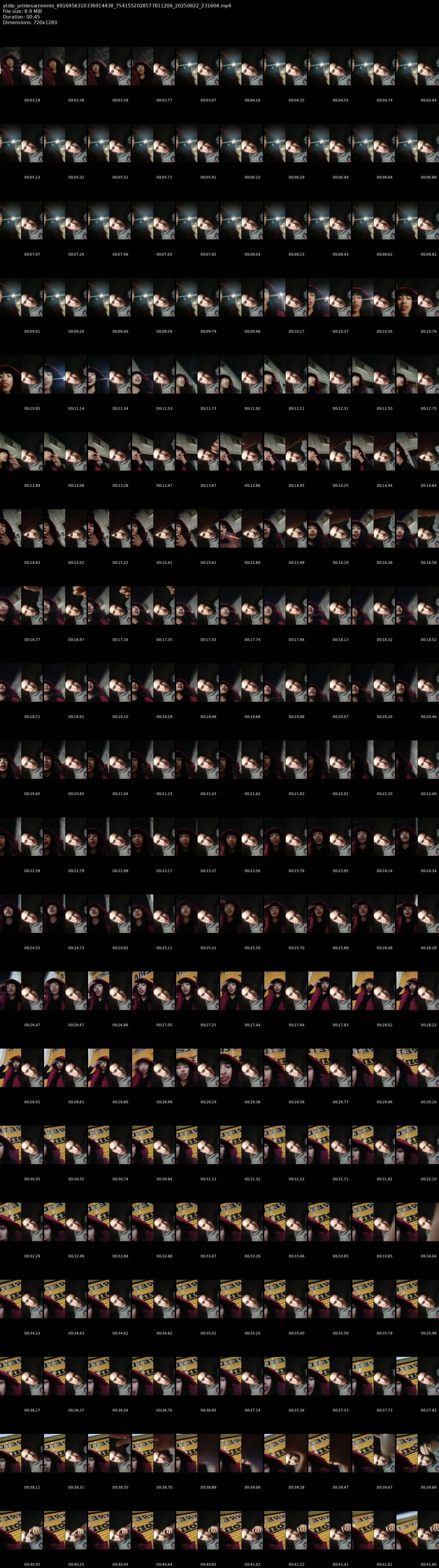 grid_ytdlp_priidesarmiento_6916956310336914438_7541552028577811206_20250822_231604.mp4.webp