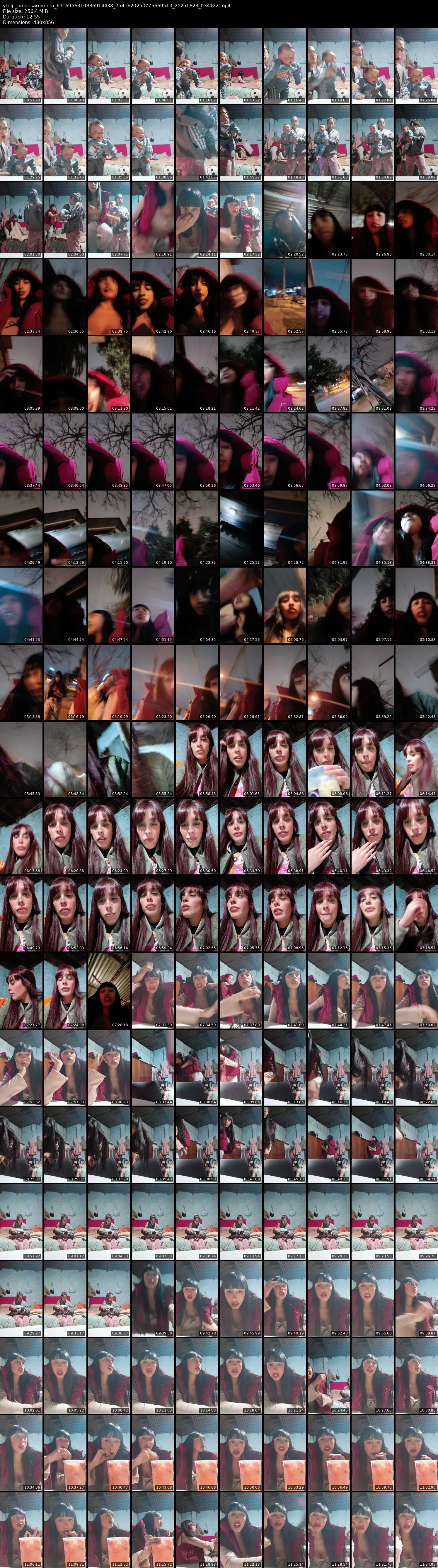 grid_ytdlp_priidesarmiento_6916956310336914438_7541620250775669510_20250823_034122.mp4.webp