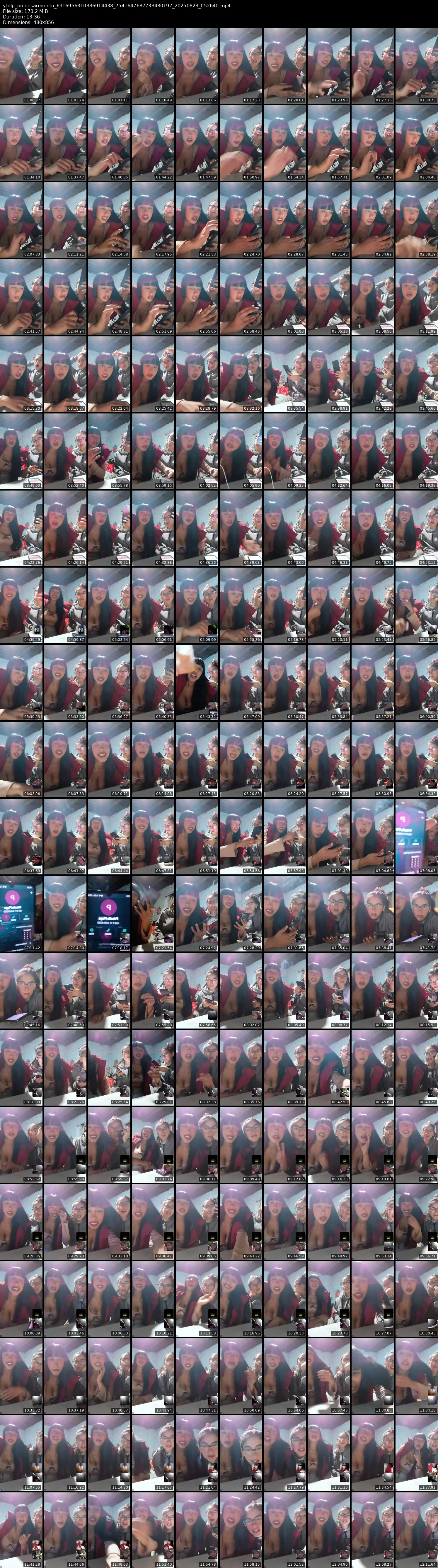 grid_ytdlp_priidesarmiento_6916956310336914438_7541647687733480197_20250823_052640.mp4.webp