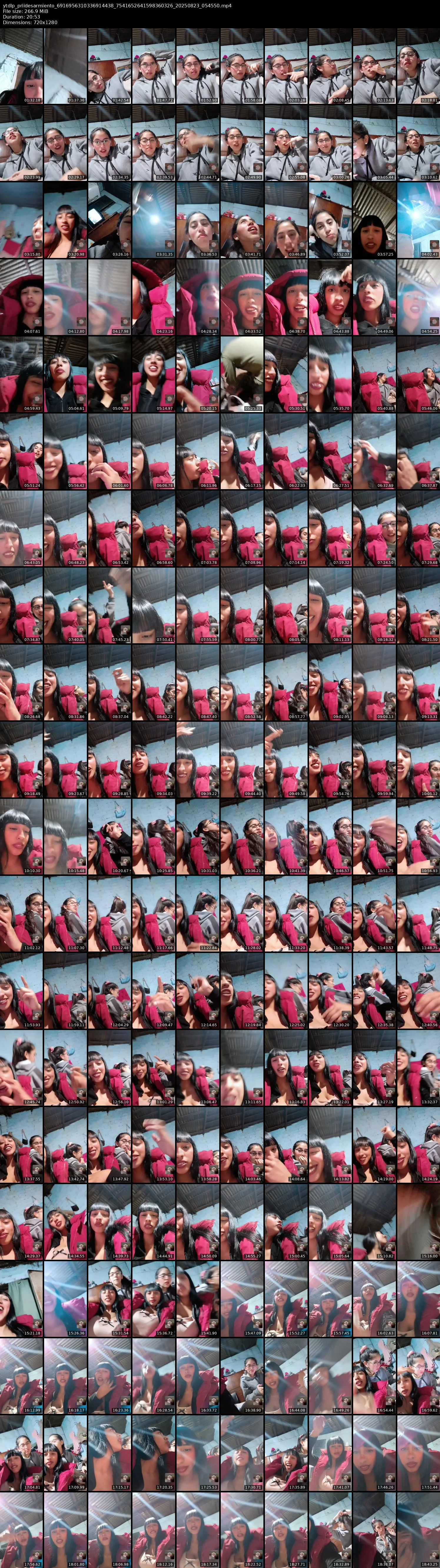 grid_ytdlp_priidesarmiento_6916956310336914438_7541652641598360326_20250823_054550.mp4.webp
