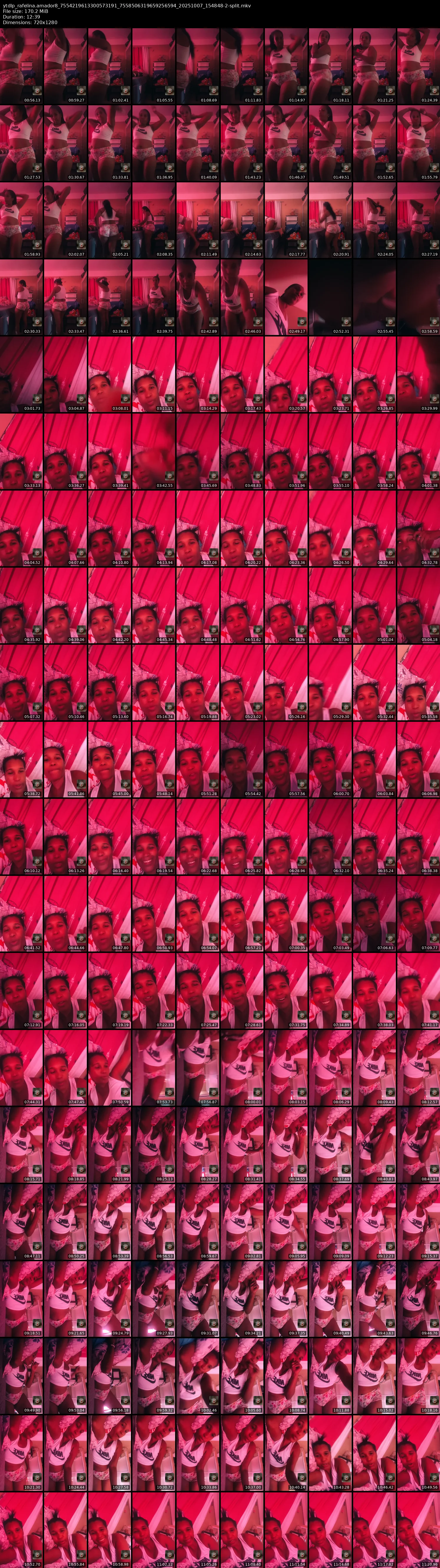 grid_ytdlp_rafelina.amador8_7554219613300573191_7558506319659256594_20251007_154848-2-split.mkv.webp