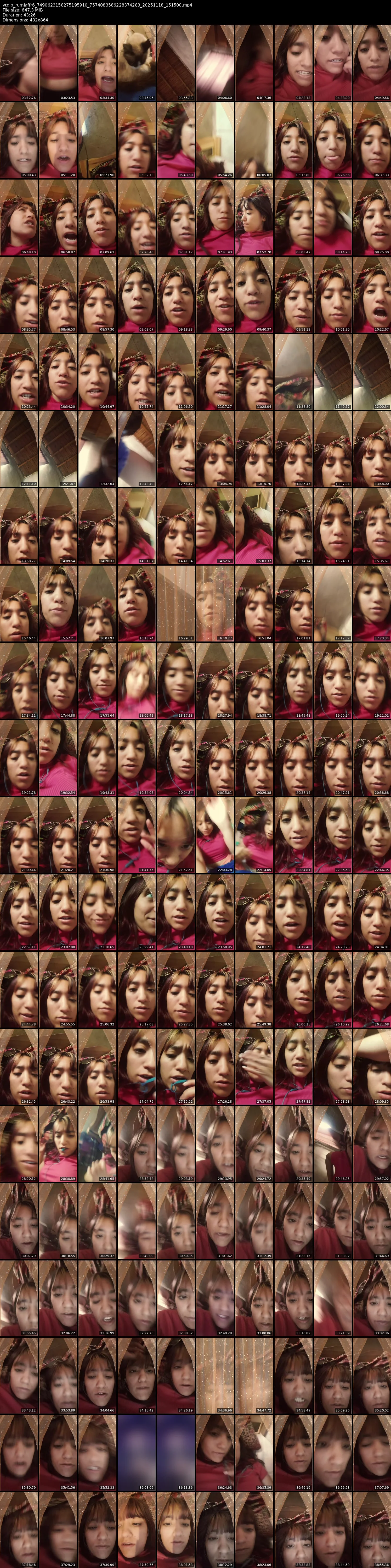 grid_ytdlp_rumiaffr6_7490623158275195910_7574083586228374283_20251118_151500.mp4.webp