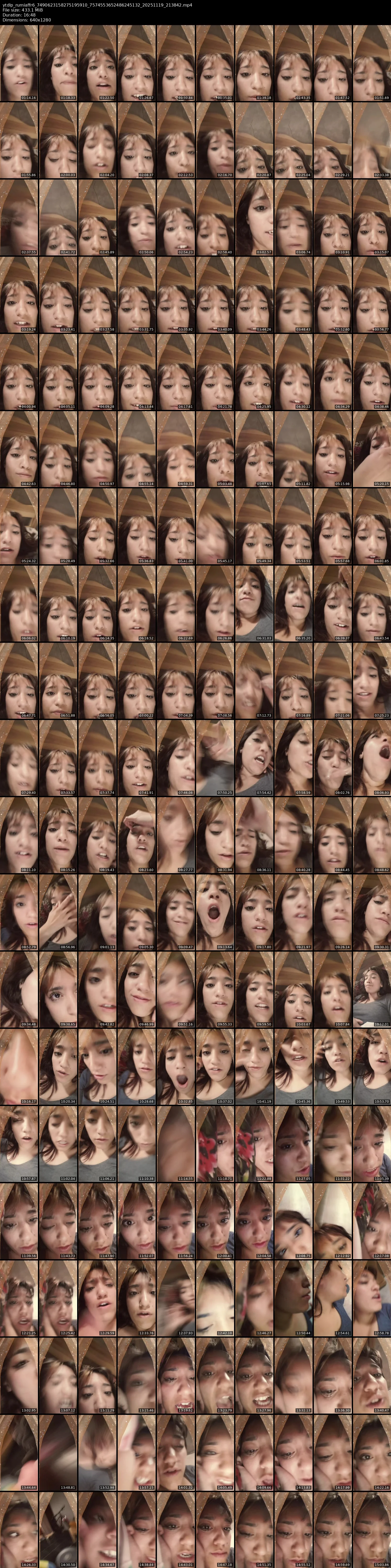 grid_ytdlp_rumiaffr6_7490623158275195910_7574553652486245132_20251119_213842.mp4.webp