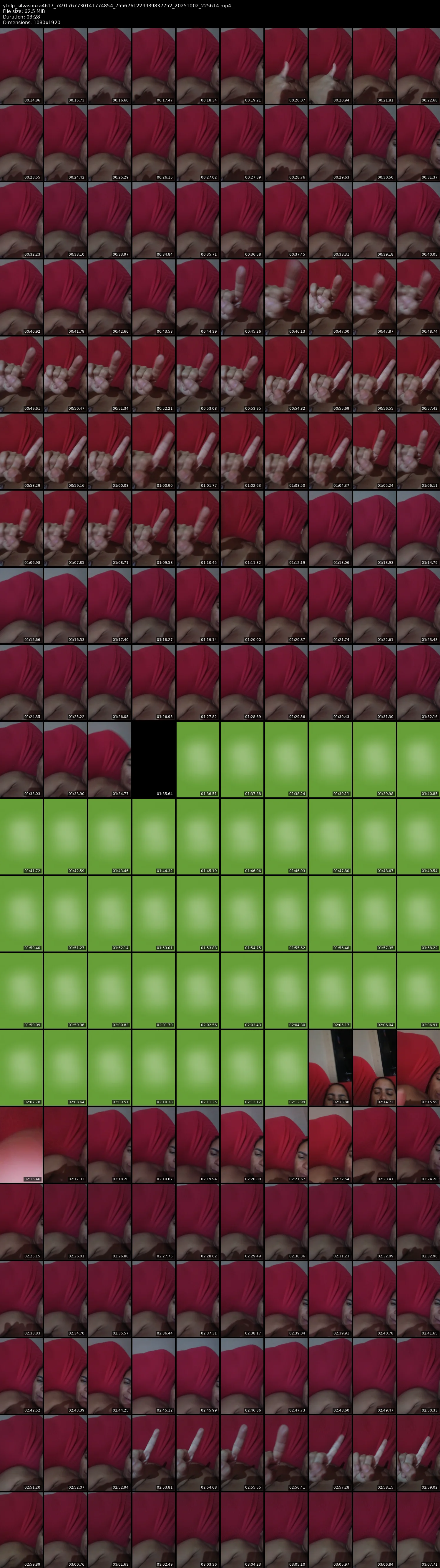 grid_ytdlp_silvasouza4617_7491767730141774854_7556761229939837752_20251002_225614.mp4.webp