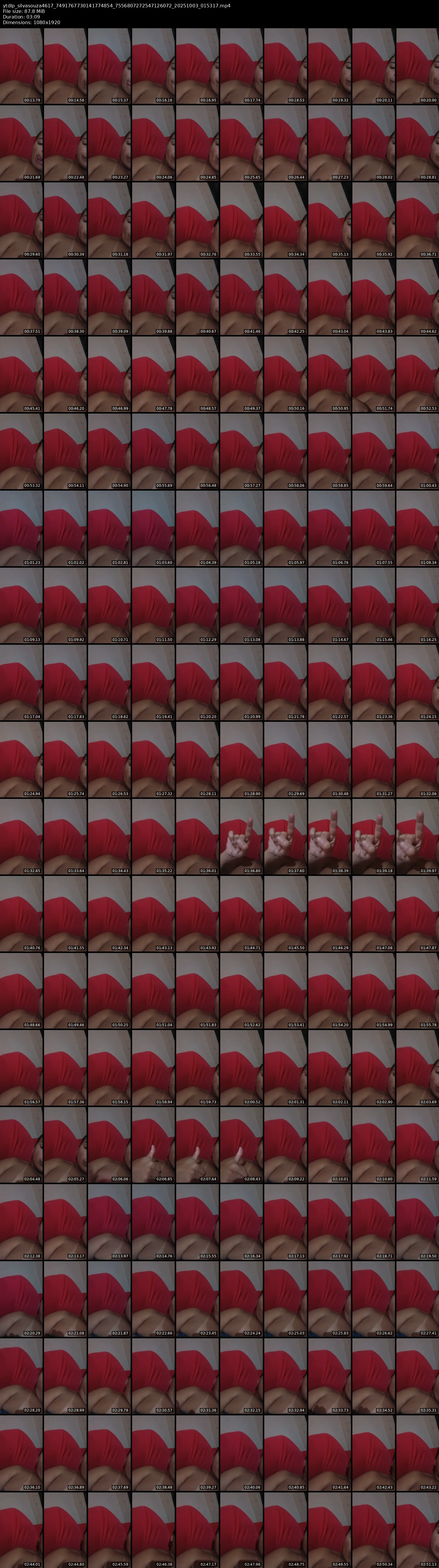 grid_ytdlp_silvasouza4617_7491767730141774854_7556807272547126072_20251003_015317.mp4.webp