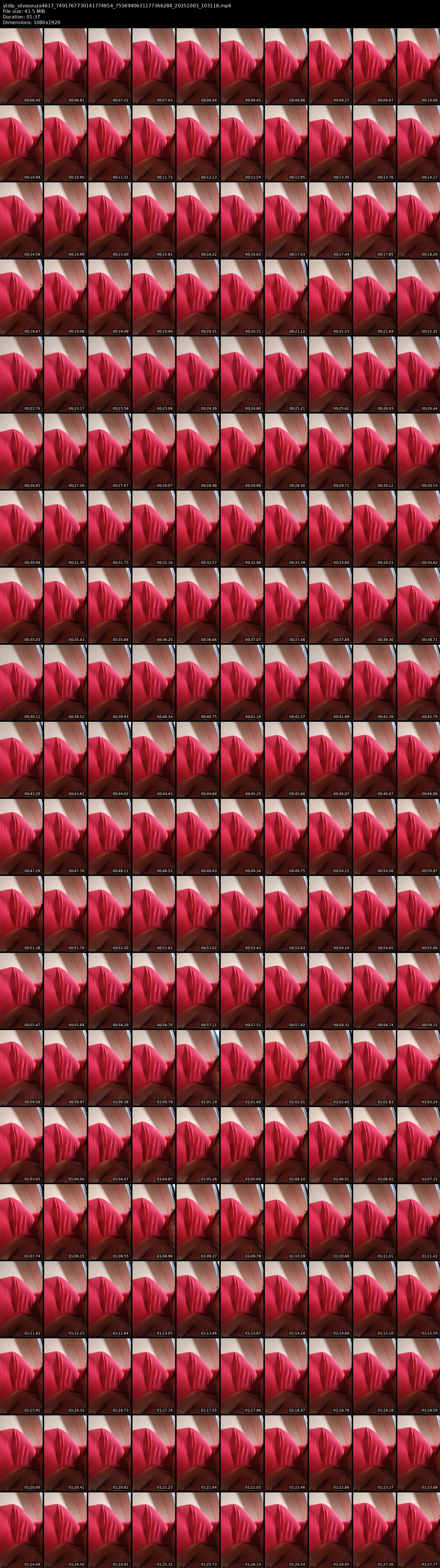 grid_ytdlp_silvasouza4617_7491767730141774854_7556940631177366284_20251003_103118.mp4.webp