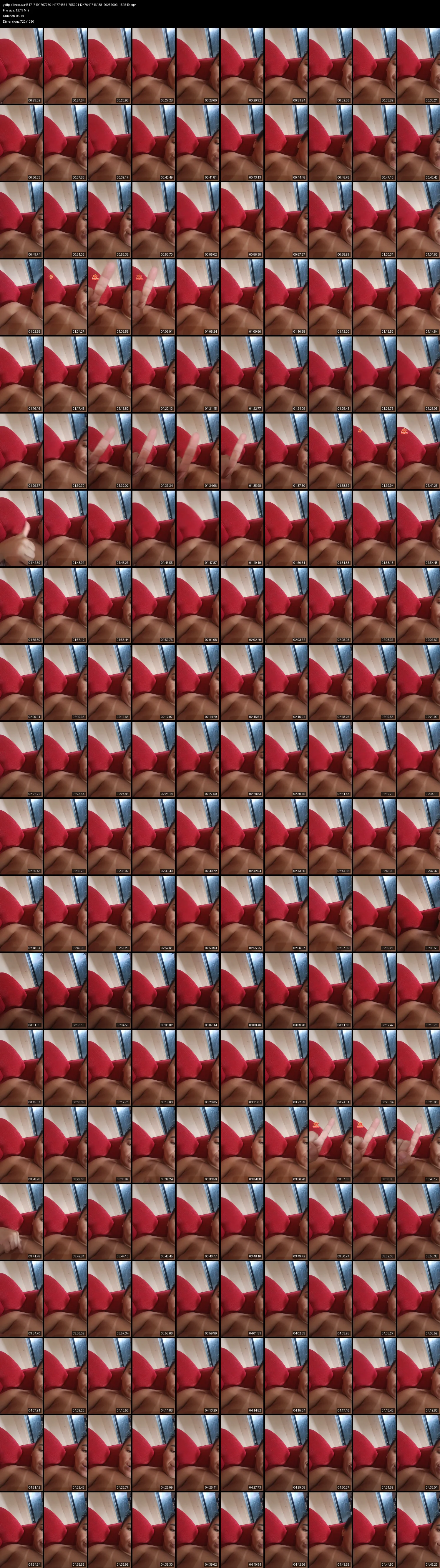 grid_ytdlp_silvasouza4617_7491767730141774854_7557014247641746188_20251003_151549.mp4.webp