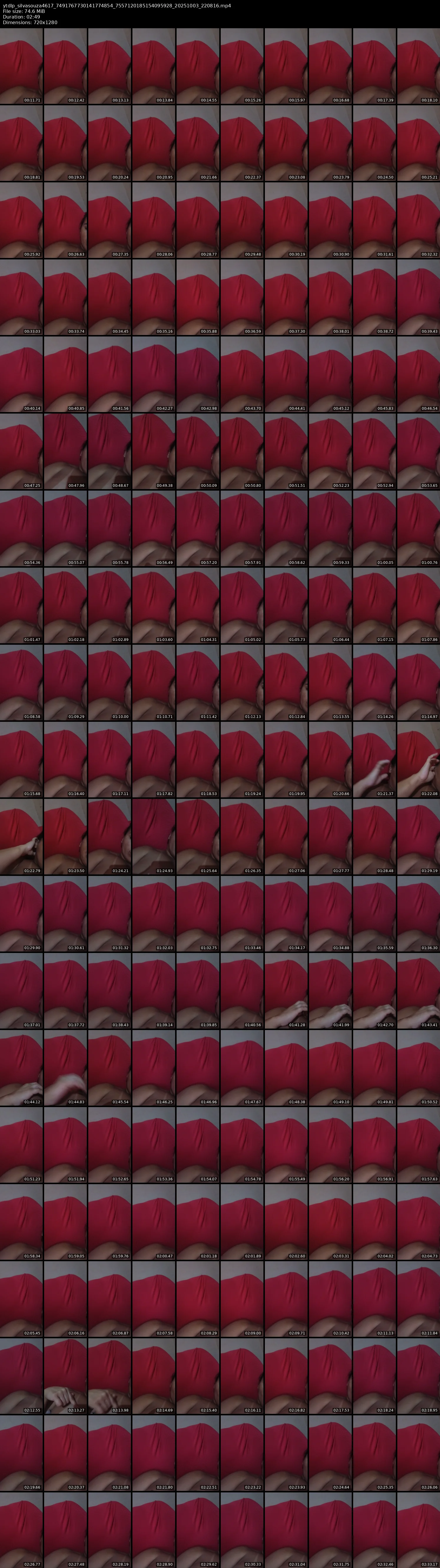 grid_ytdlp_silvasouza4617_7491767730141774854_7557120185154095928_20251003_220816.mp4.webp