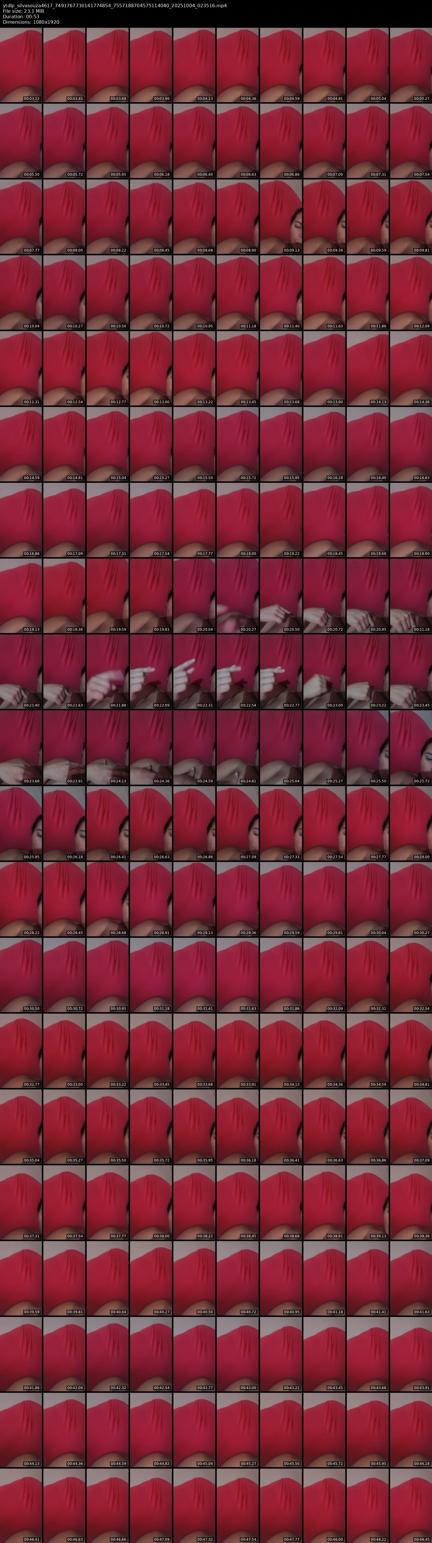 grid_ytdlp_silvasouza4617_7491767730141774854_7557188704575114040_20251004_023516.mp4.webp