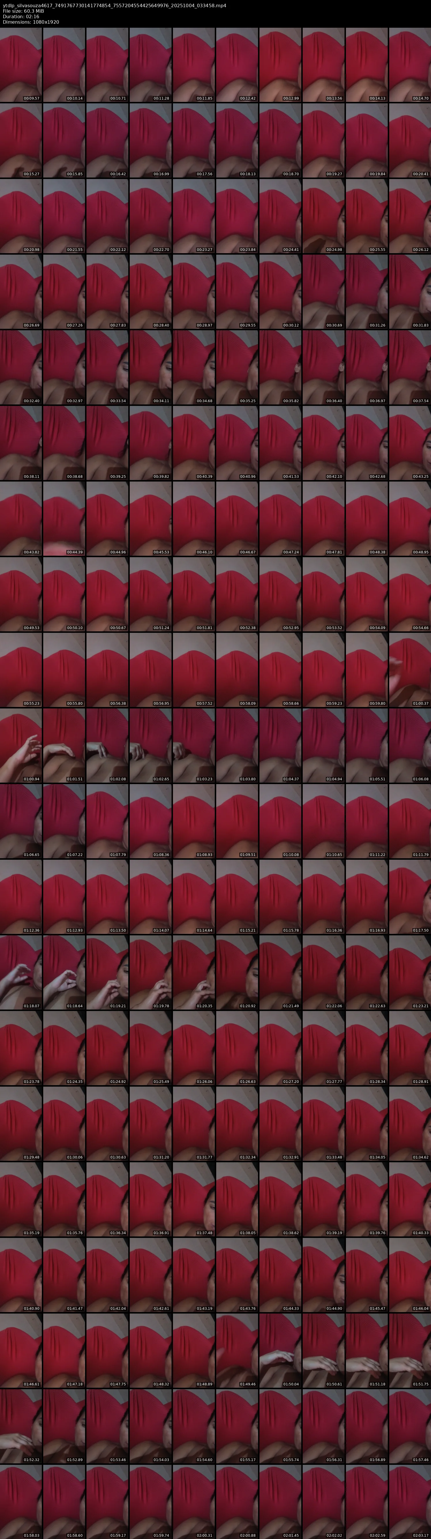 grid_ytdlp_silvasouza4617_7491767730141774854_7557204554425649976_20251004_033458.mp4.webp