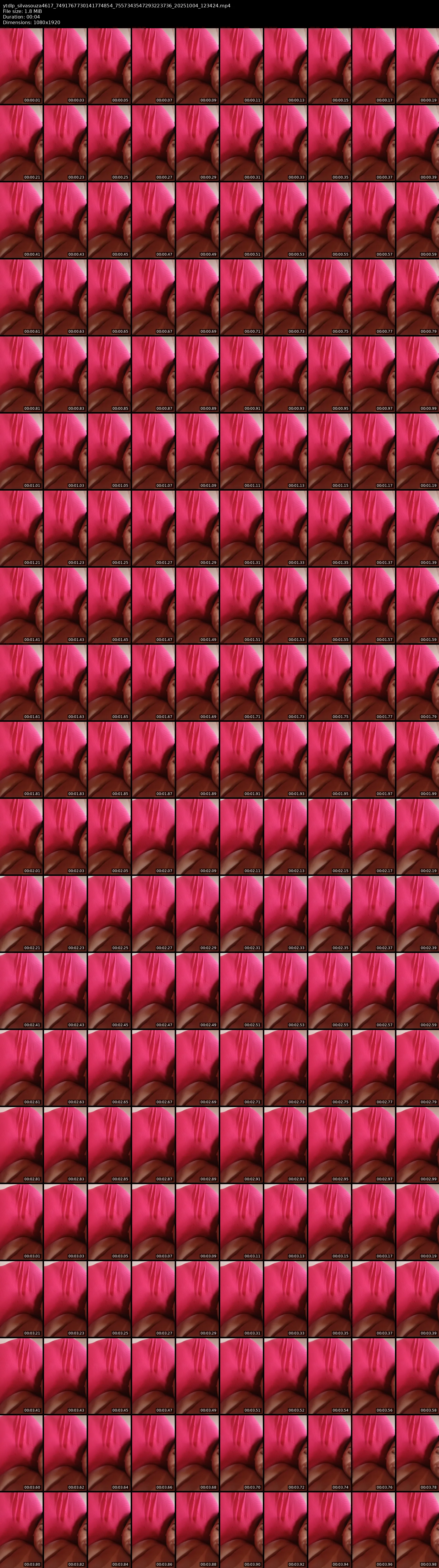 grid_ytdlp_silvasouza4617_7491767730141774854_7557343547293223736_20251004_123424.mp4.webp