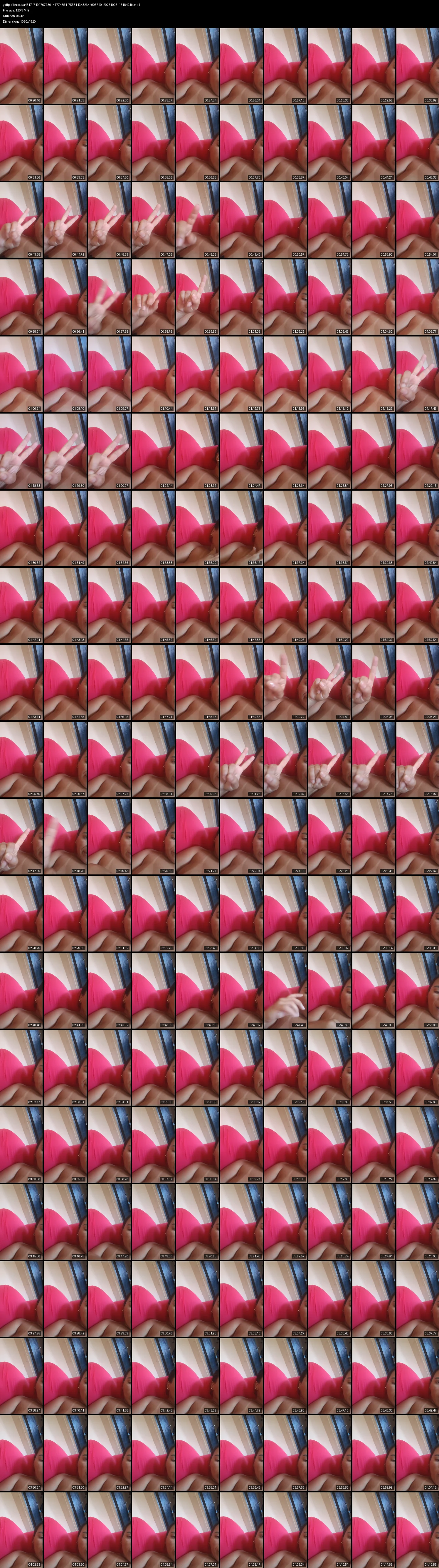 grid_ytdlp_silvasouza4617_7491767730141774854_7558143432644905740_20251006_161842.fix.mp4.webp