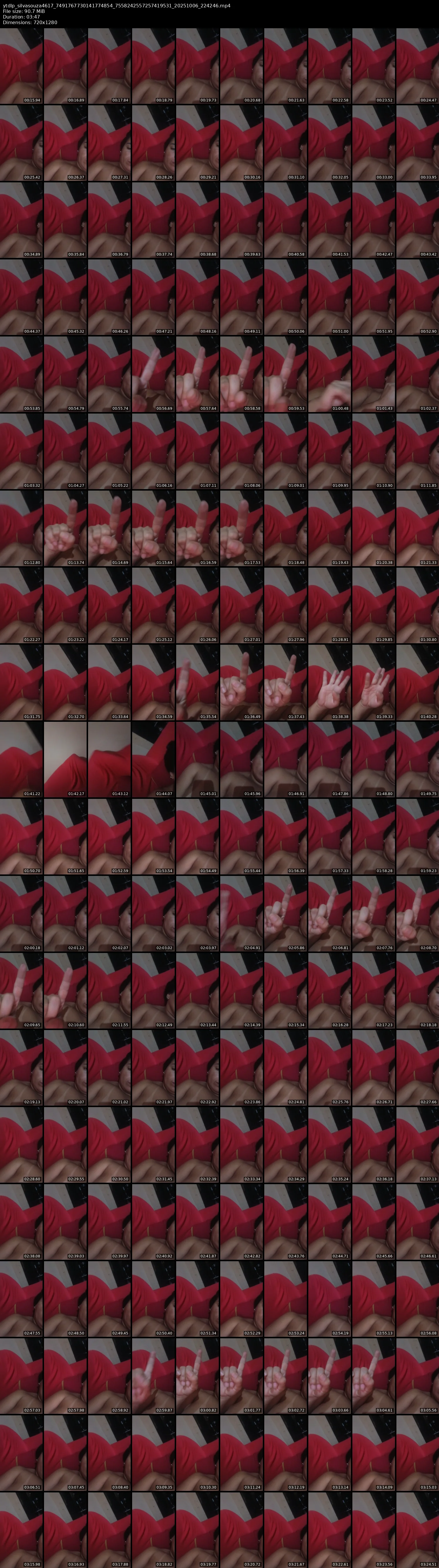 grid_ytdlp_silvasouza4617_7491767730141774854_7558242557257419531_20251006_224246.mp4.webp