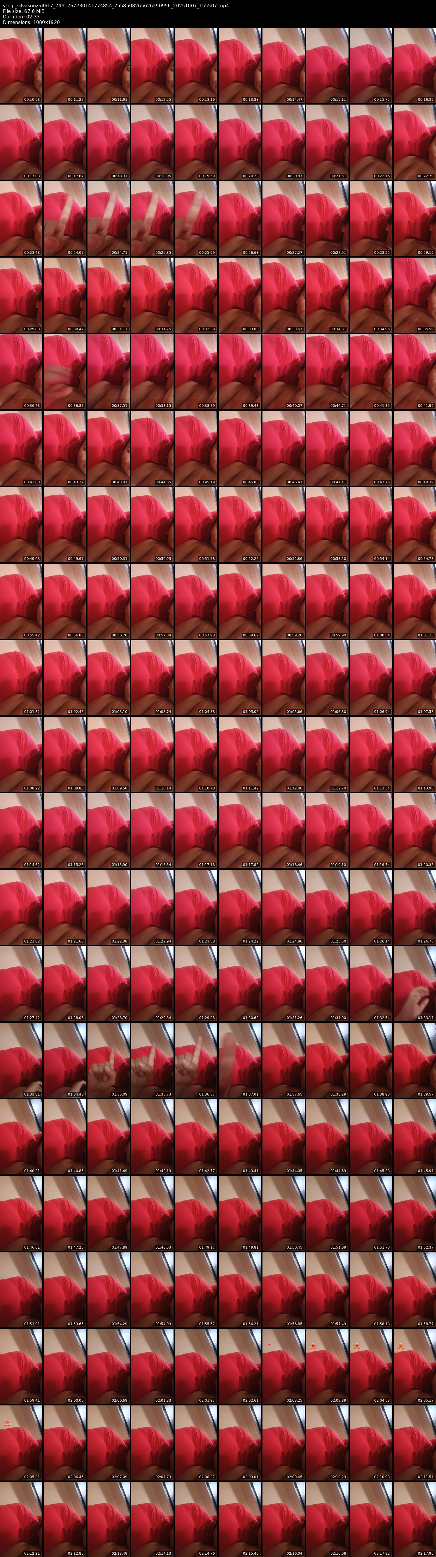 grid_ytdlp_silvasouza4617_7491767730141774854_7558508265626290956_20251007_155507.mp4.webp