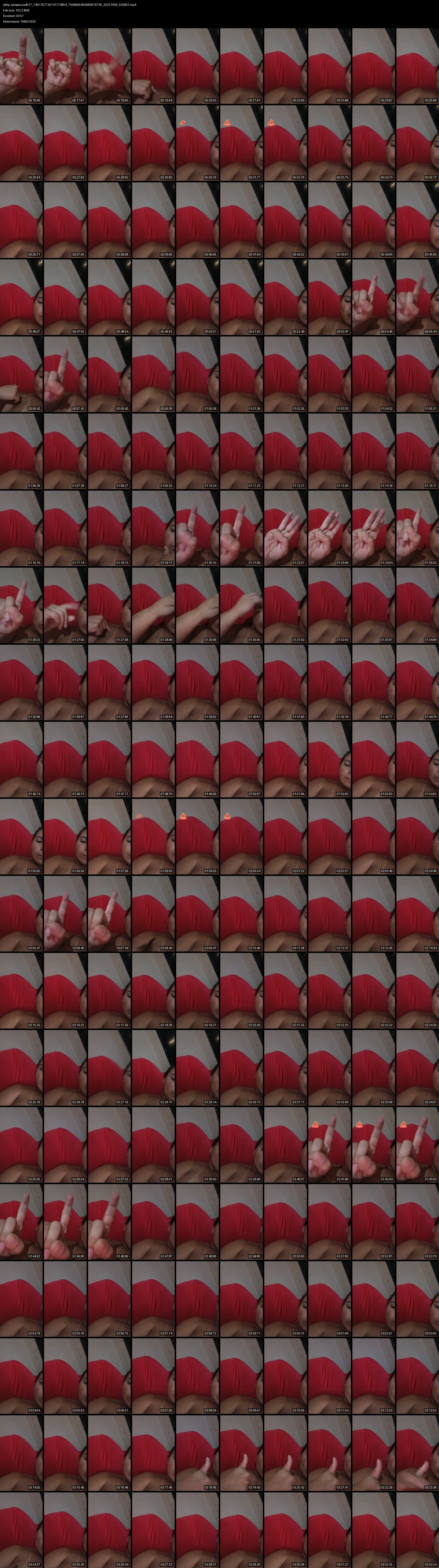 grid_ytdlp_silvasouza4617_7491767730141774854_7558666405680679736_20251008_020802.mp4.webp