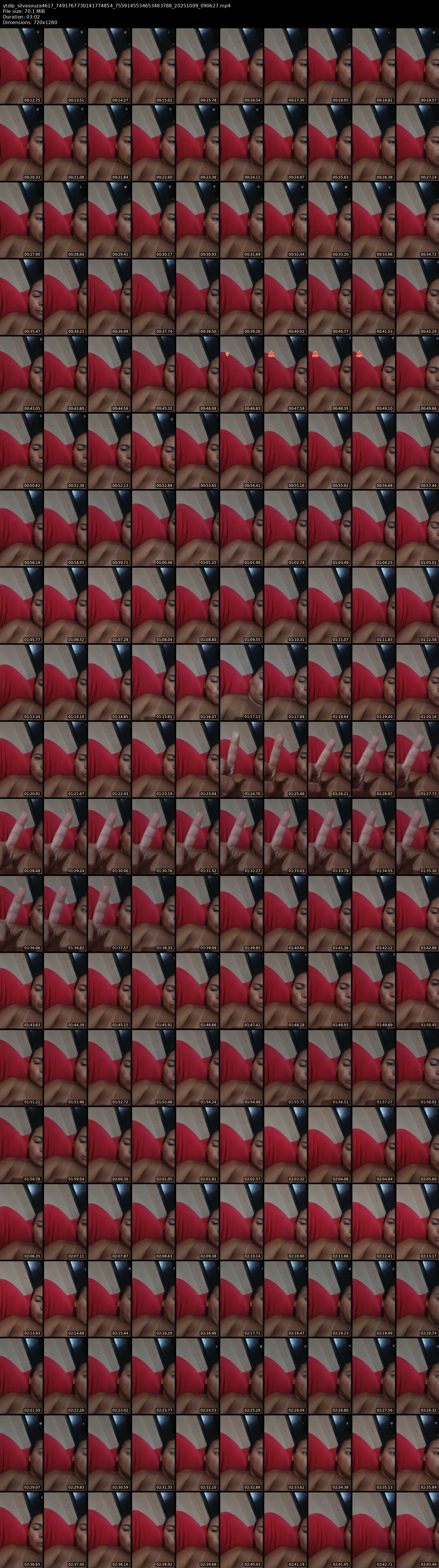 grid_ytdlp_silvasouza4617_7491767730141774854_7559145534653483788_20251009_090627.mp4.webp