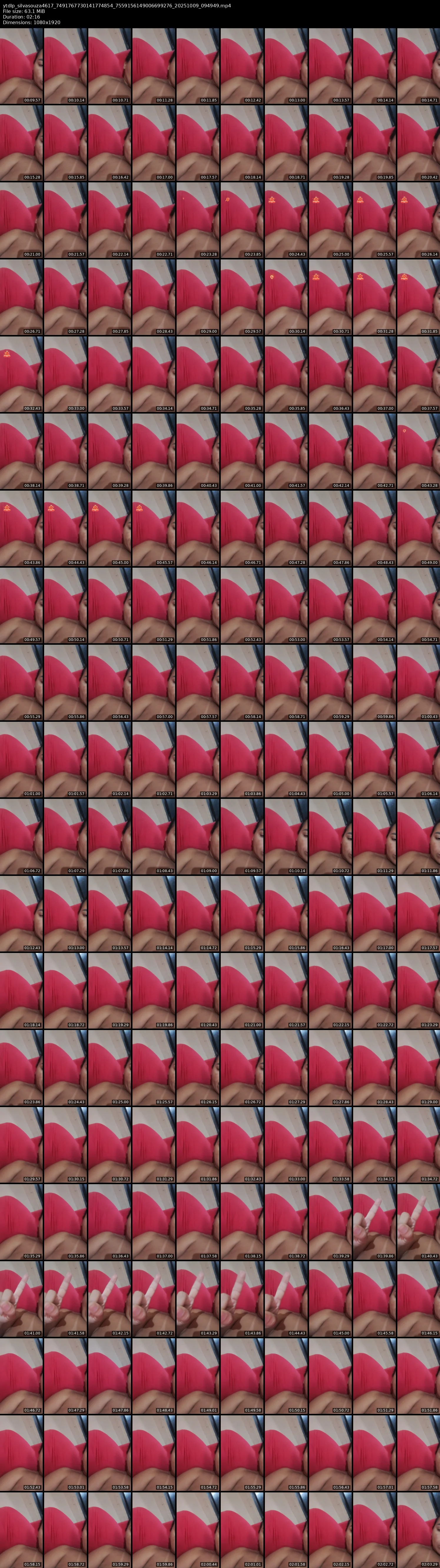 grid_ytdlp_silvasouza4617_7491767730141774854_7559156149006699276_20251009_094949.mp4.webp