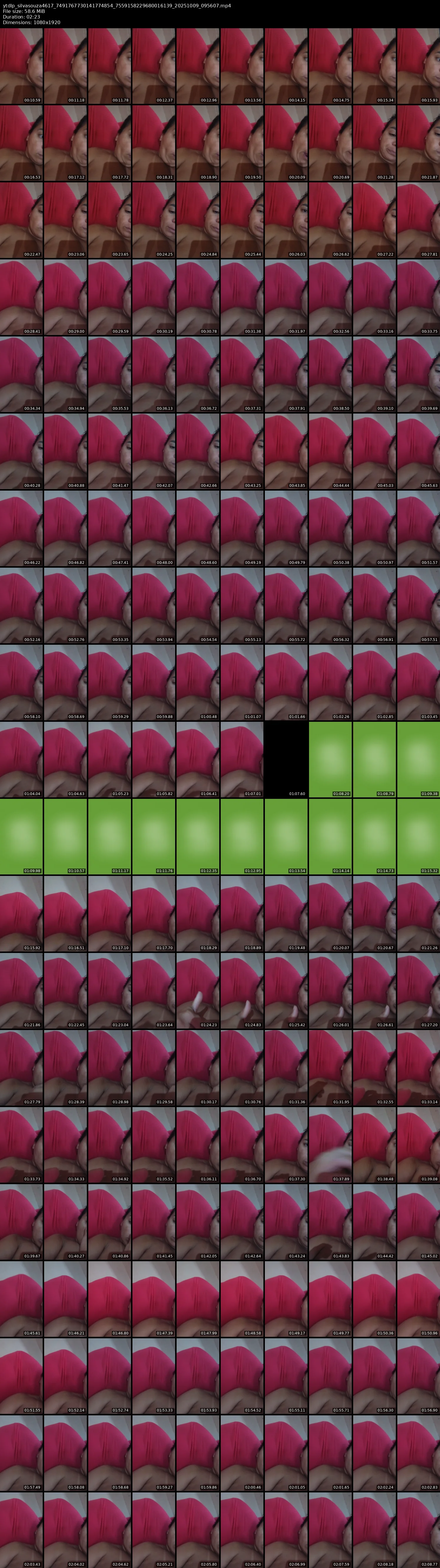 grid_ytdlp_silvasouza4617_7491767730141774854_7559158229680016139_20251009_095607.mp4.webp