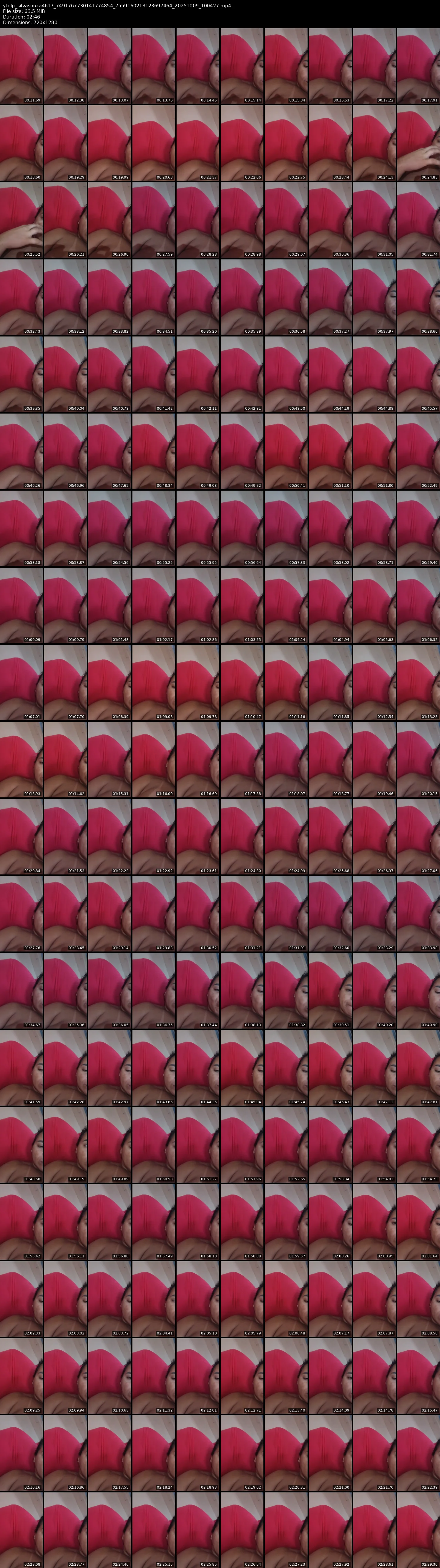 grid_ytdlp_silvasouza4617_7491767730141774854_7559160213123697464_20251009_100427.mp4.webp