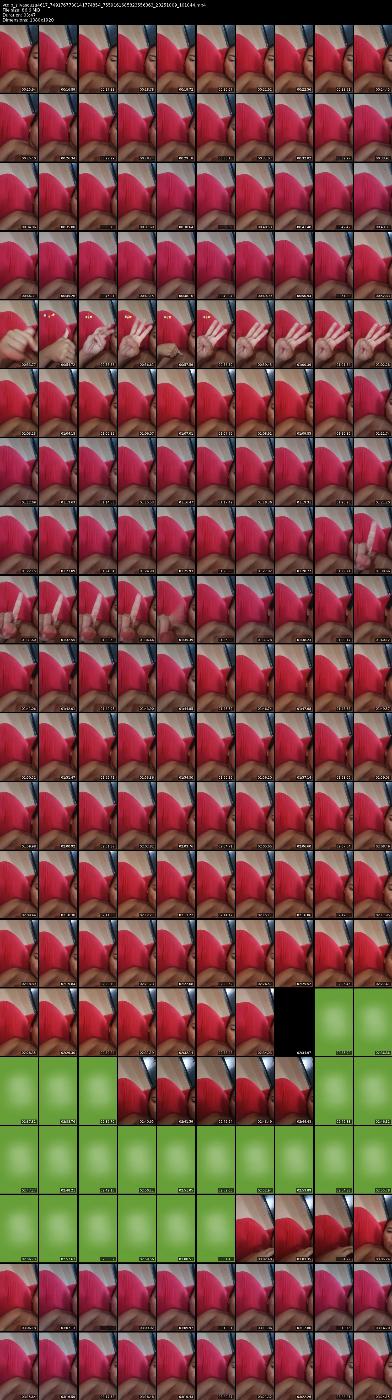 grid_ytdlp_silvasouza4617_7491767730141774854_7559161685823556363_20251009_101044.mp4.webp