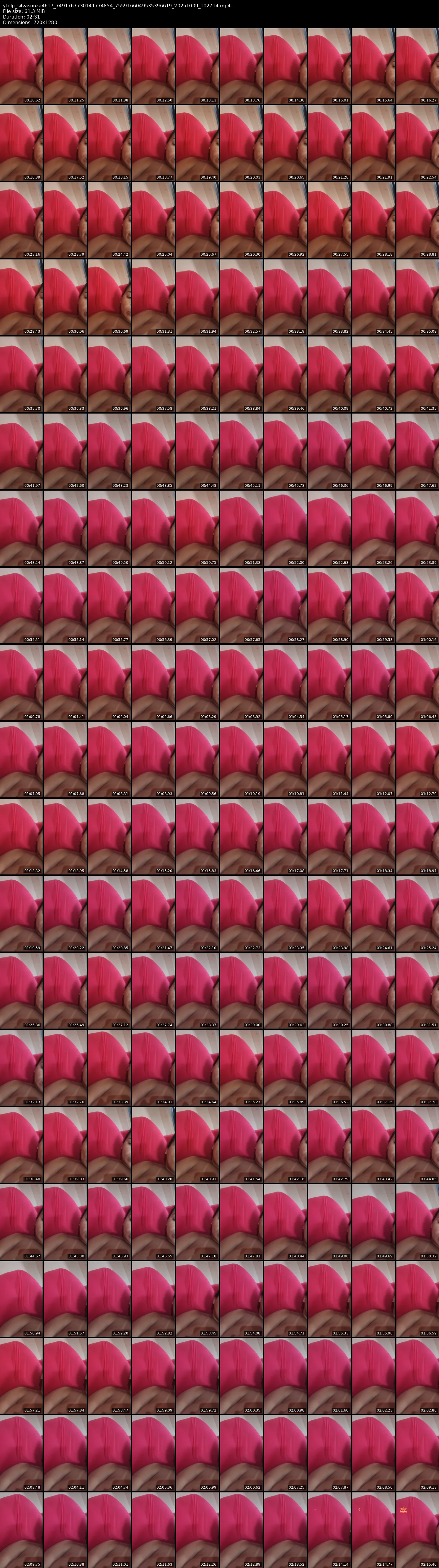 grid_ytdlp_silvasouza4617_7491767730141774854_7559166049535396619_20251009_102714.mp4.webp