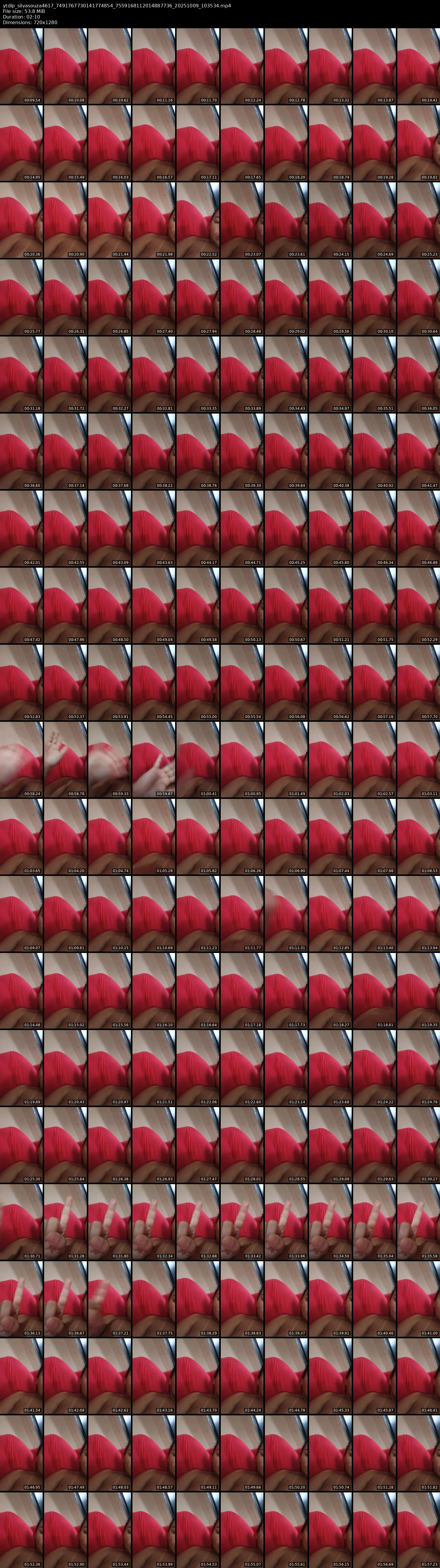 grid_ytdlp_silvasouza4617_7491767730141774854_7559168112014887736_20251009_103534.mp4.webp