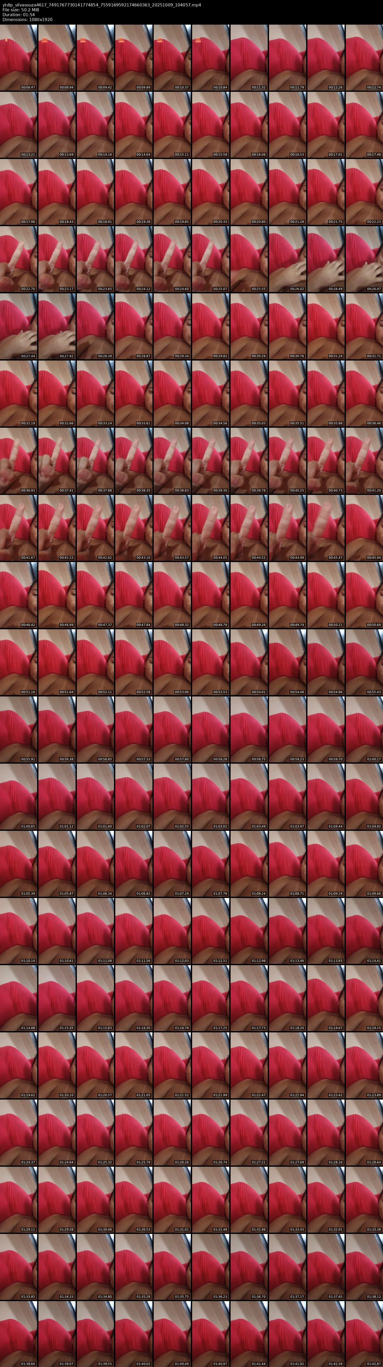 grid_ytdlp_silvasouza4617_7491767730141774854_7559169592174660363_20251009_104057.mp4.webp