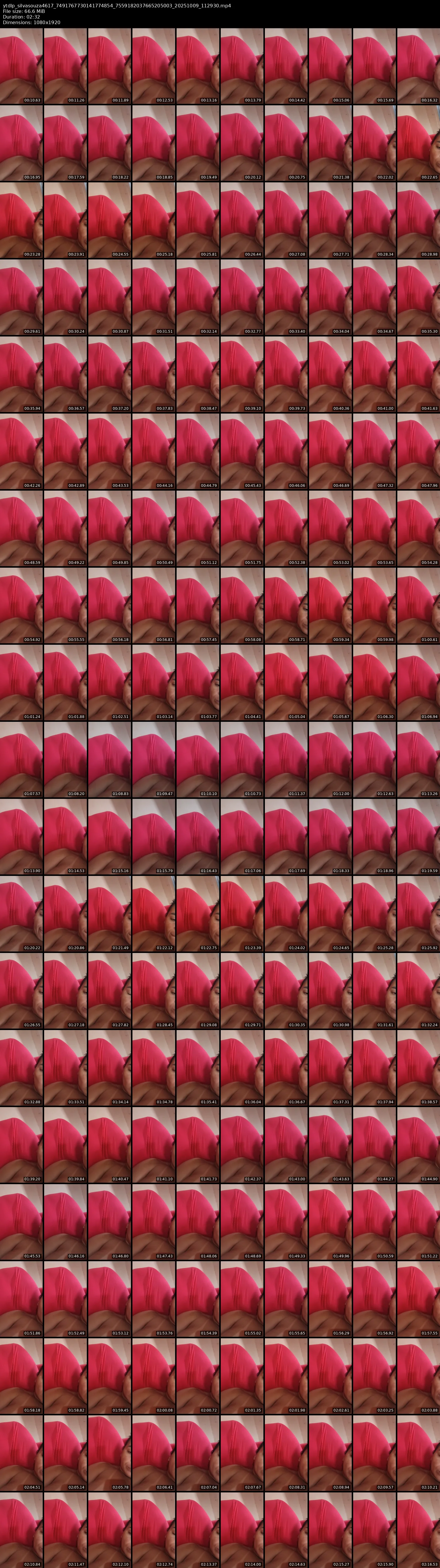 grid_ytdlp_silvasouza4617_7491767730141774854_7559182037665205003_20251009_112930.mp4.webp