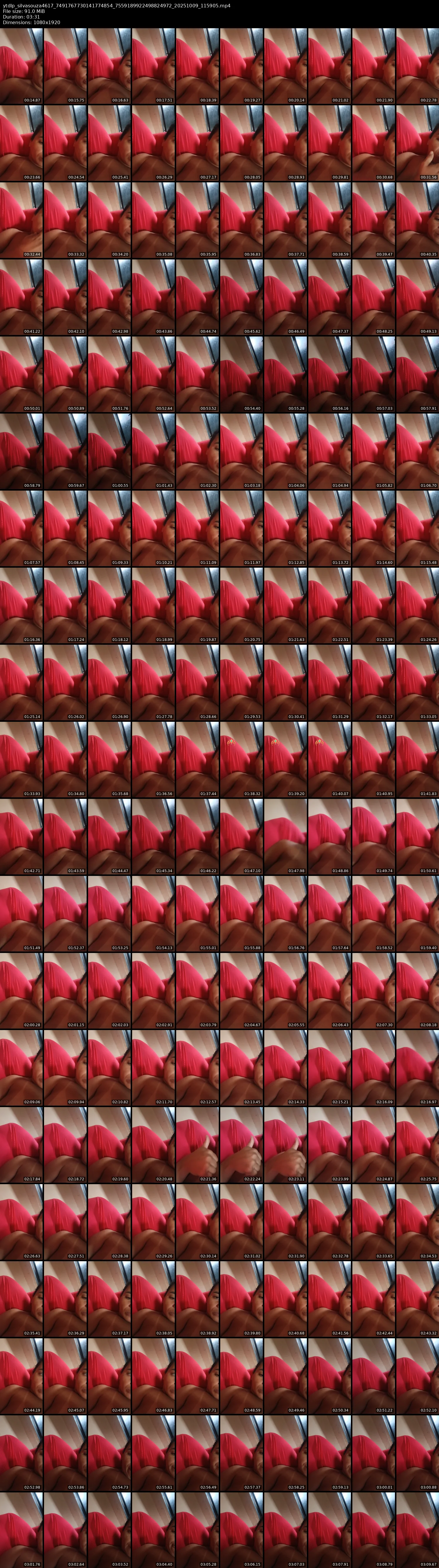 grid_ytdlp_silvasouza4617_7491767730141774854_7559189922498824972_20251009_115905.mp4.webp
