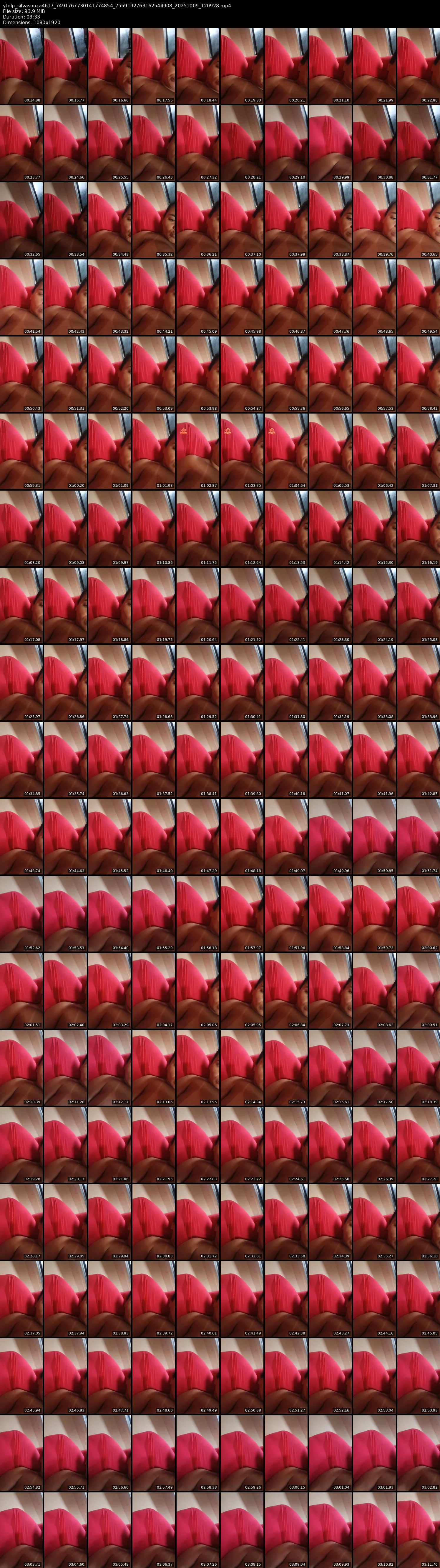 grid_ytdlp_silvasouza4617_7491767730141774854_7559192763162544908_20251009_120928.mp4.webp