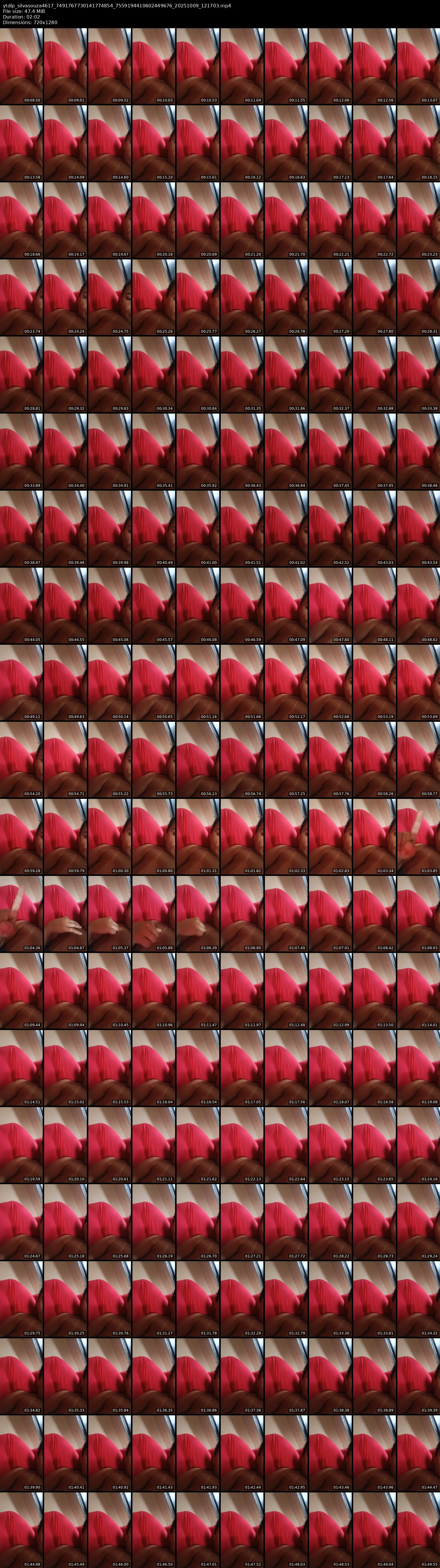 grid_ytdlp_silvasouza4617_7491767730141774854_7559194410602449676_20251009_121703.mp4.webp