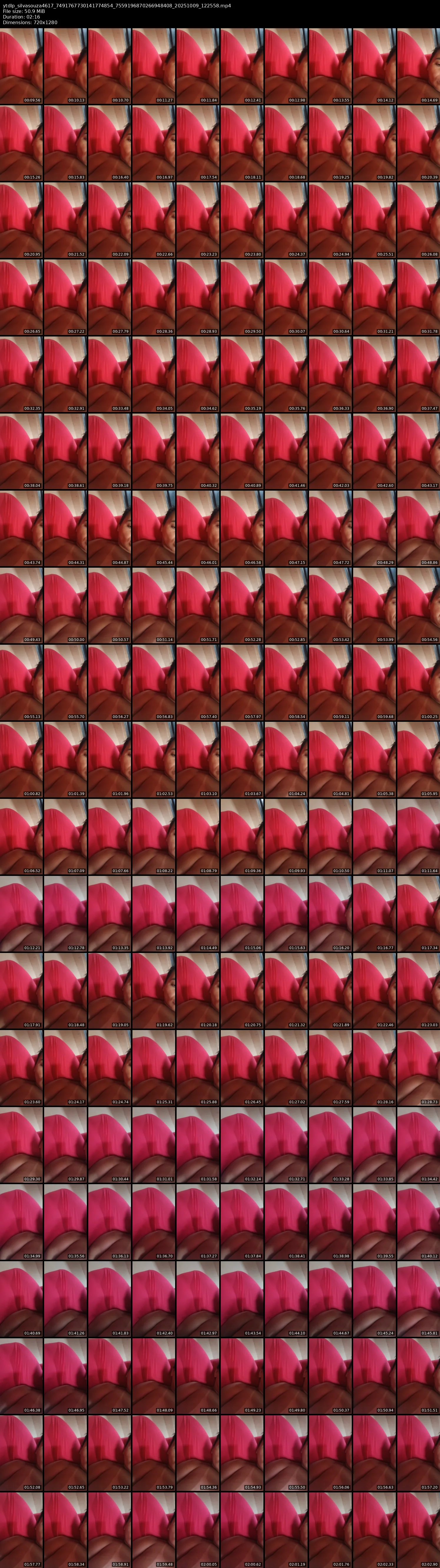 grid_ytdlp_silvasouza4617_7491767730141774854_7559196870266948408_20251009_122558.mp4.webp