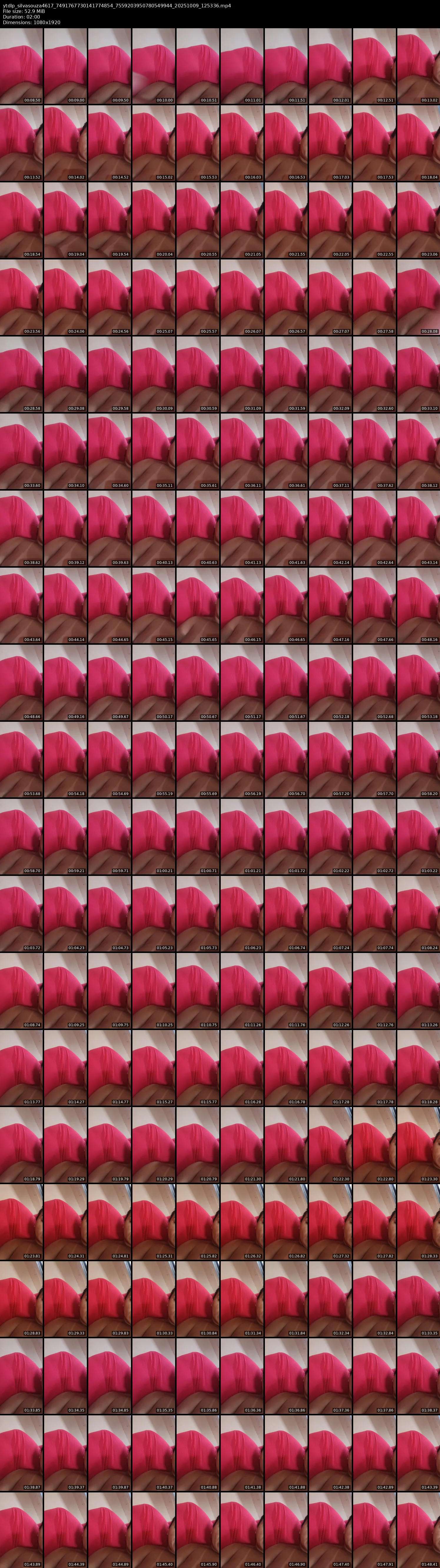 grid_ytdlp_silvasouza4617_7491767730141774854_7559203950780549944_20251009_125336.mp4.webp