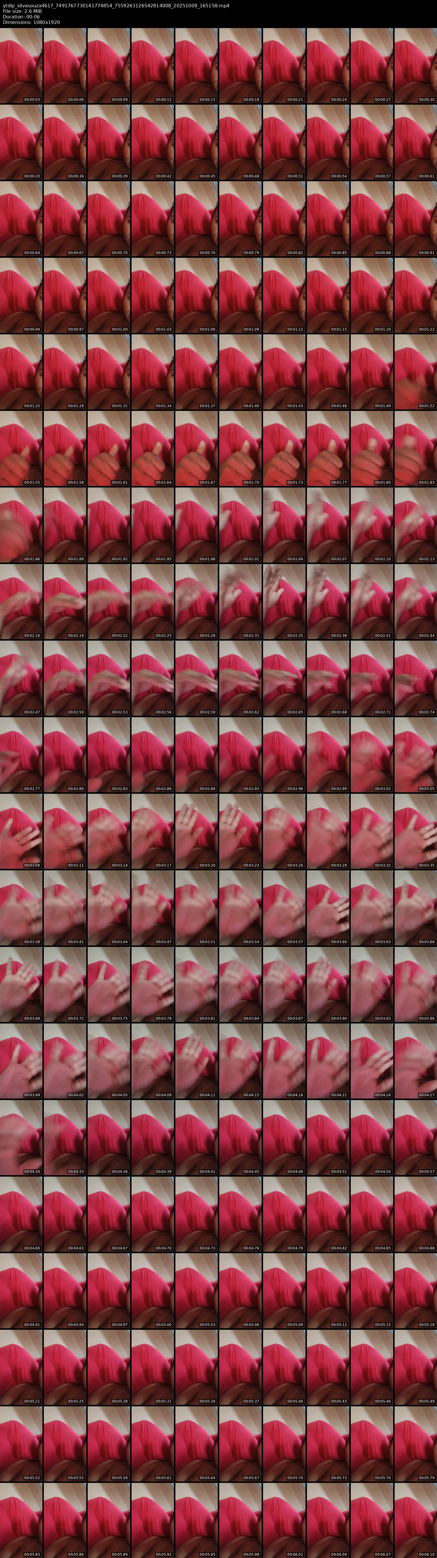 grid_ytdlp_silvasouza4617_7491767730141774854_7559263126542814008_20251009_165158.mp4.webp