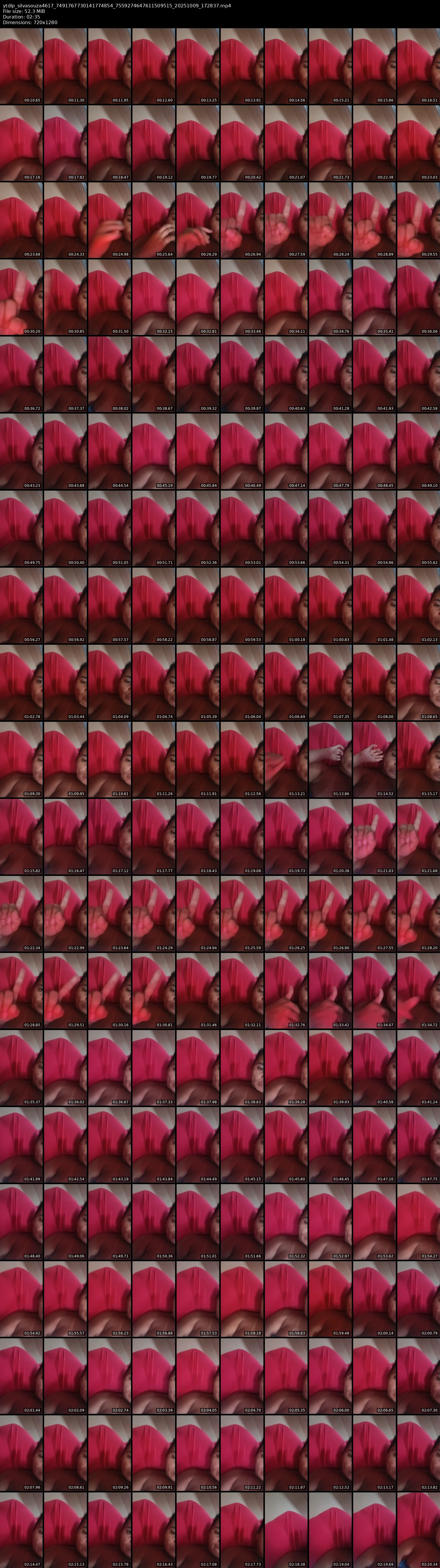 grid_ytdlp_silvasouza4617_7491767730141774854_7559274647611509515_20251009_172837.mp4.webp