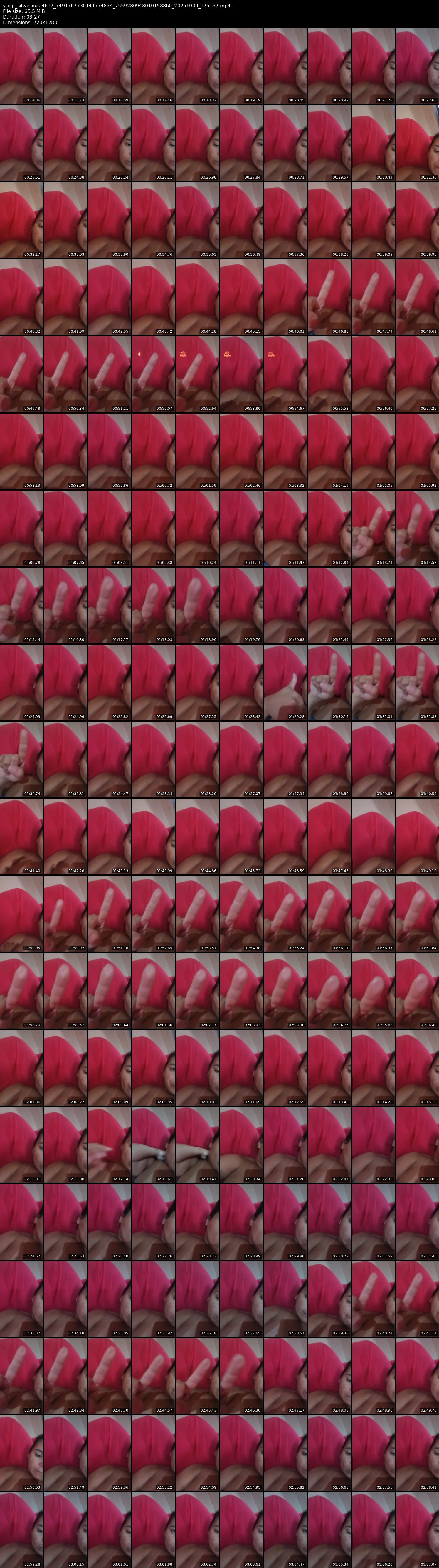grid_ytdlp_silvasouza4617_7491767730141774854_7559280948010158860_20251009_175157.mp4.webp
