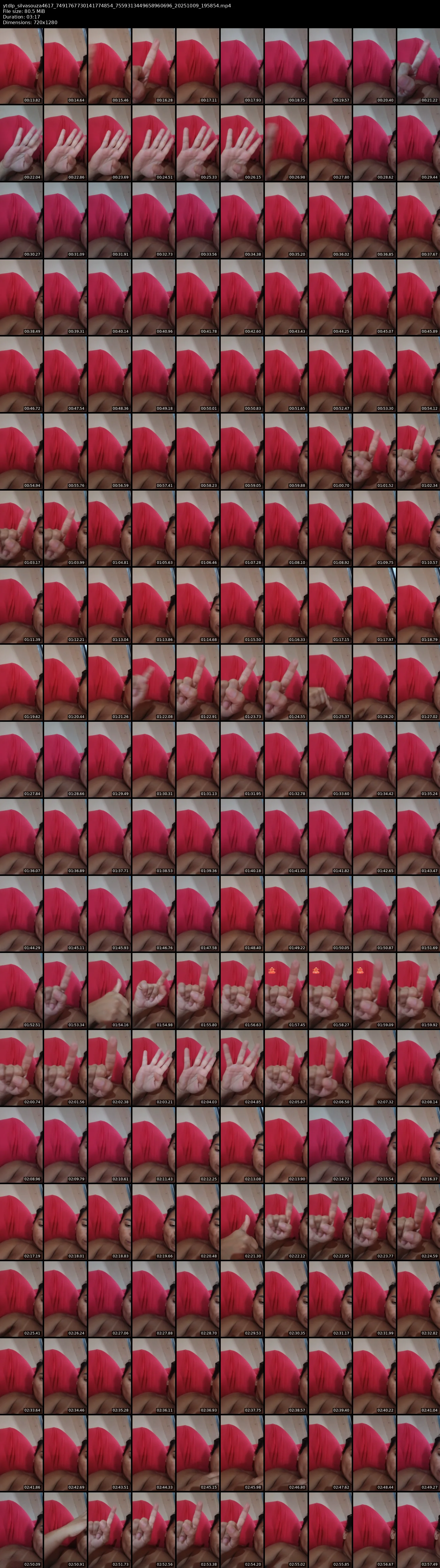 grid_ytdlp_silvasouza4617_7491767730141774854_7559313449658960696_20251009_195854.mp4.webp