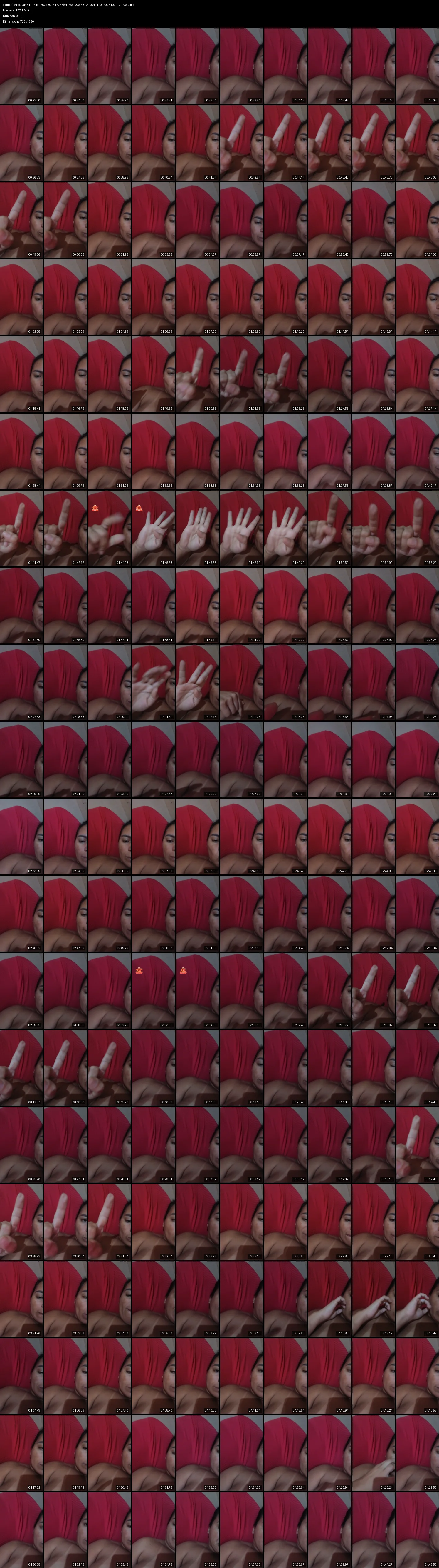 grid_ytdlp_silvasouza4617_7491767730141774854_7559335481290640140_20251009_212352.mp4.webp