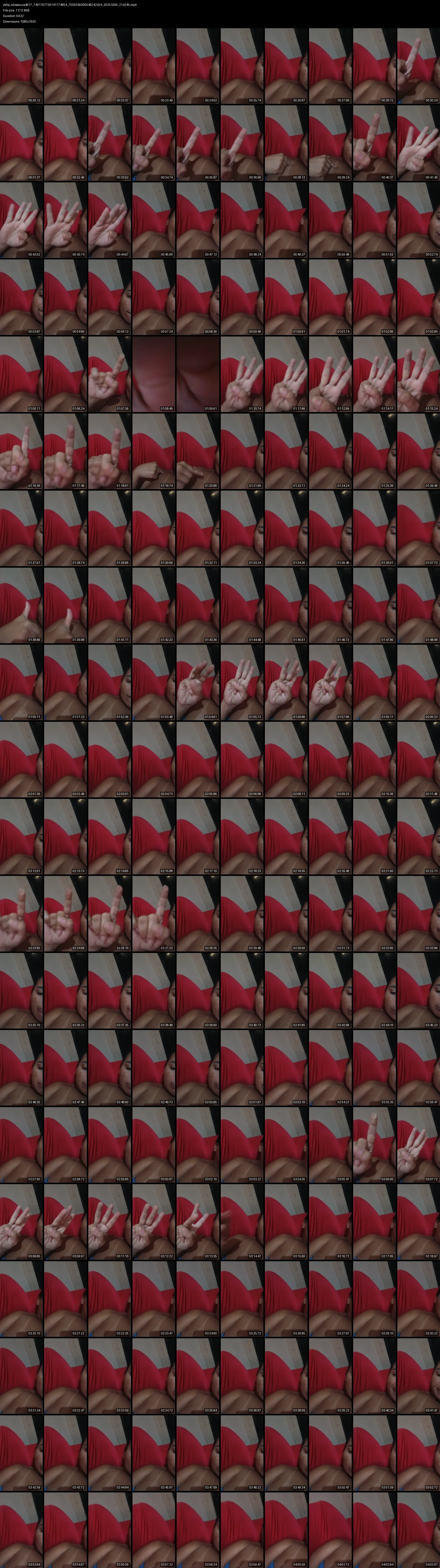 grid_ytdlp_silvasouza4617_7491767730141774854_7559340305049242424_20251009_214245.mp4.webp
