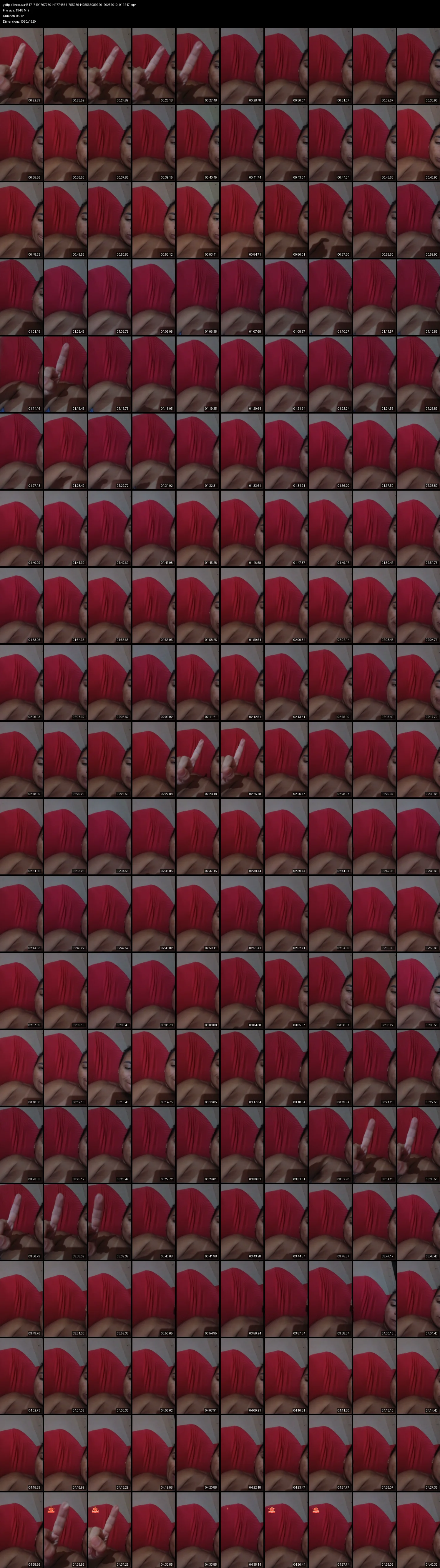 grid_ytdlp_silvasouza4617_7491767730141774854_7559394425563089720_20251010_011247.mp4.webp