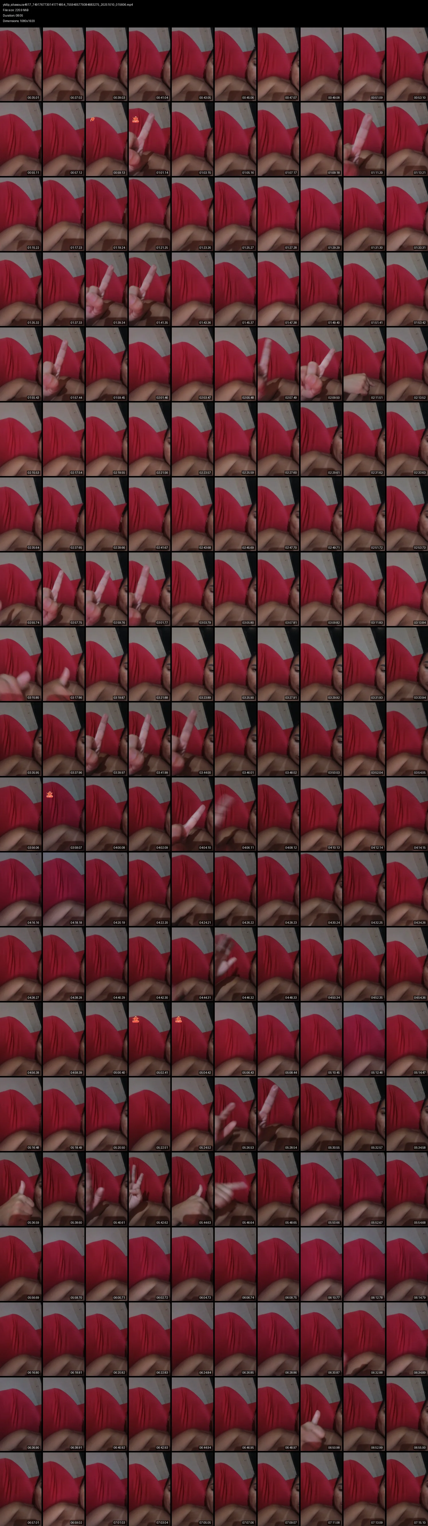 grid_ytdlp_silvasouza4617_7491767730141774854_7559405779384683275_20251010_015606.mp4.webp
