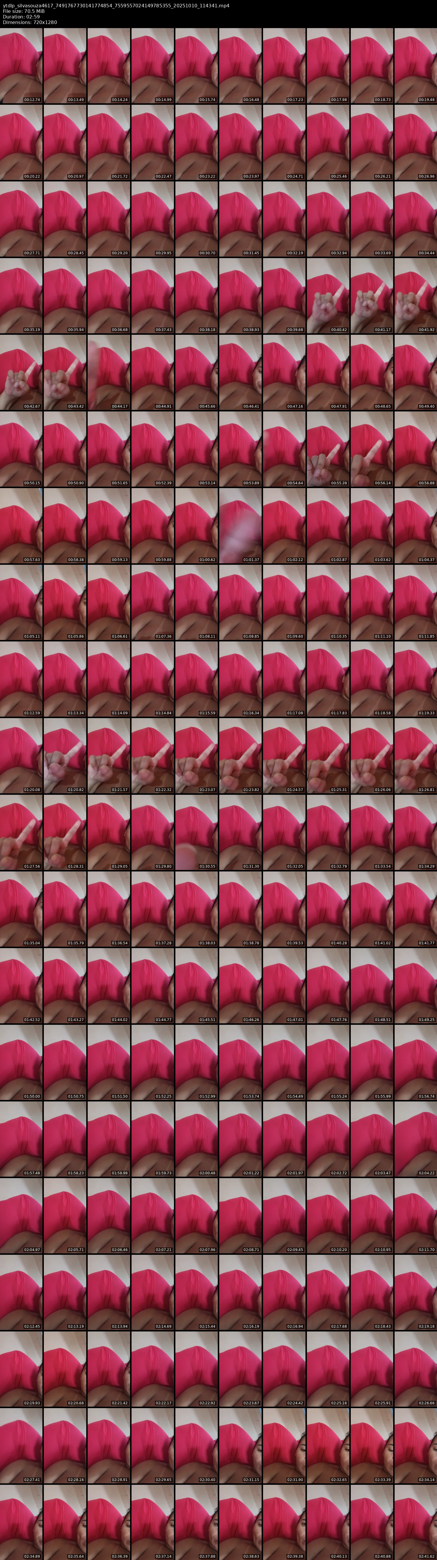 grid_ytdlp_silvasouza4617_7491767730141774854_7559557024149785355_20251010_114341.mp4.webp