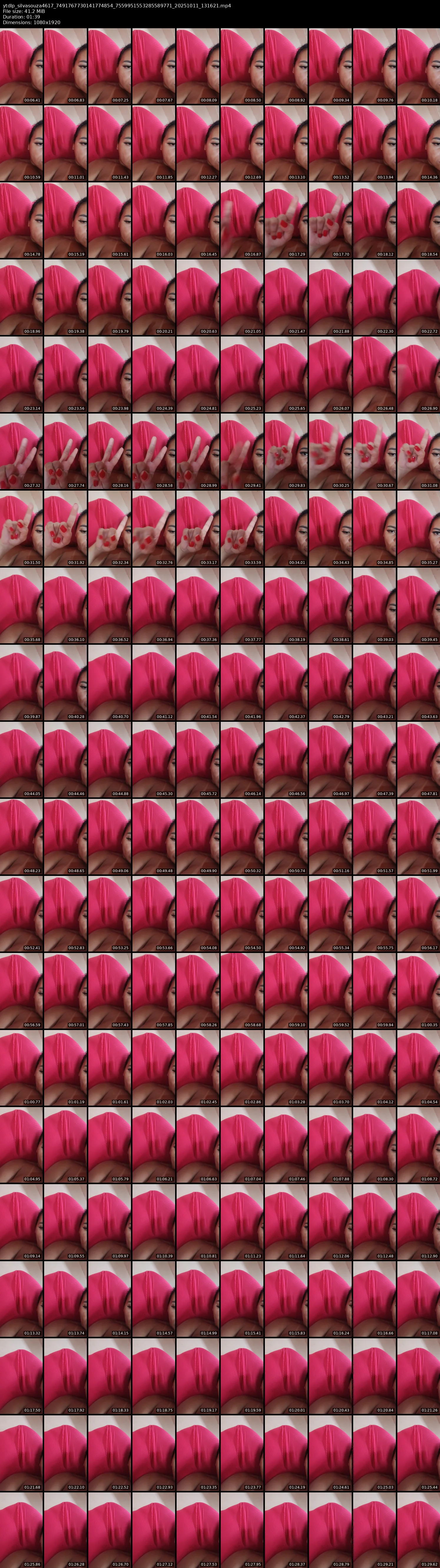 grid_ytdlp_silvasouza4617_7491767730141774854_7559951553285589771_20251011_131621.mp4.webp
