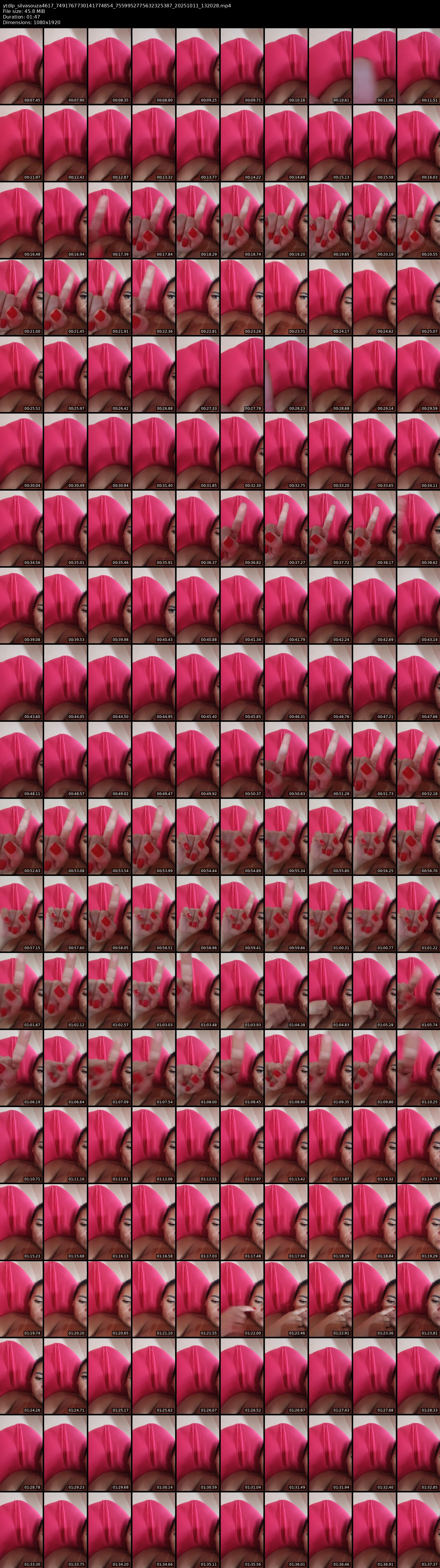 grid_ytdlp_silvasouza4617_7491767730141774854_7559952775632325387_20251011_132028.mp4.webp