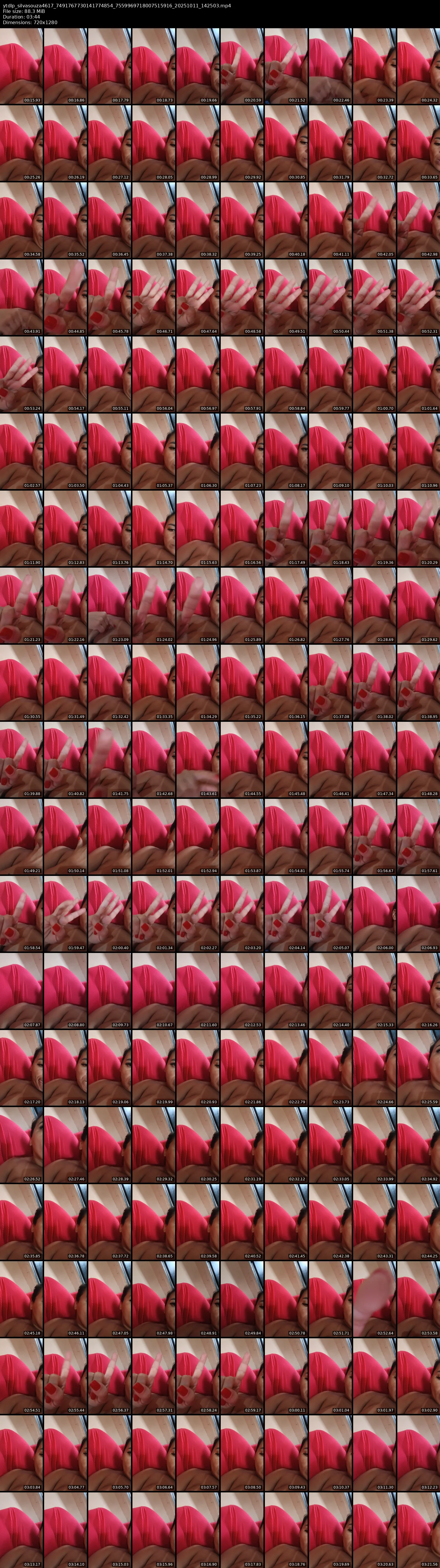 grid_ytdlp_silvasouza4617_7491767730141774854_7559969718007515916_20251011_142503.mp4.webp